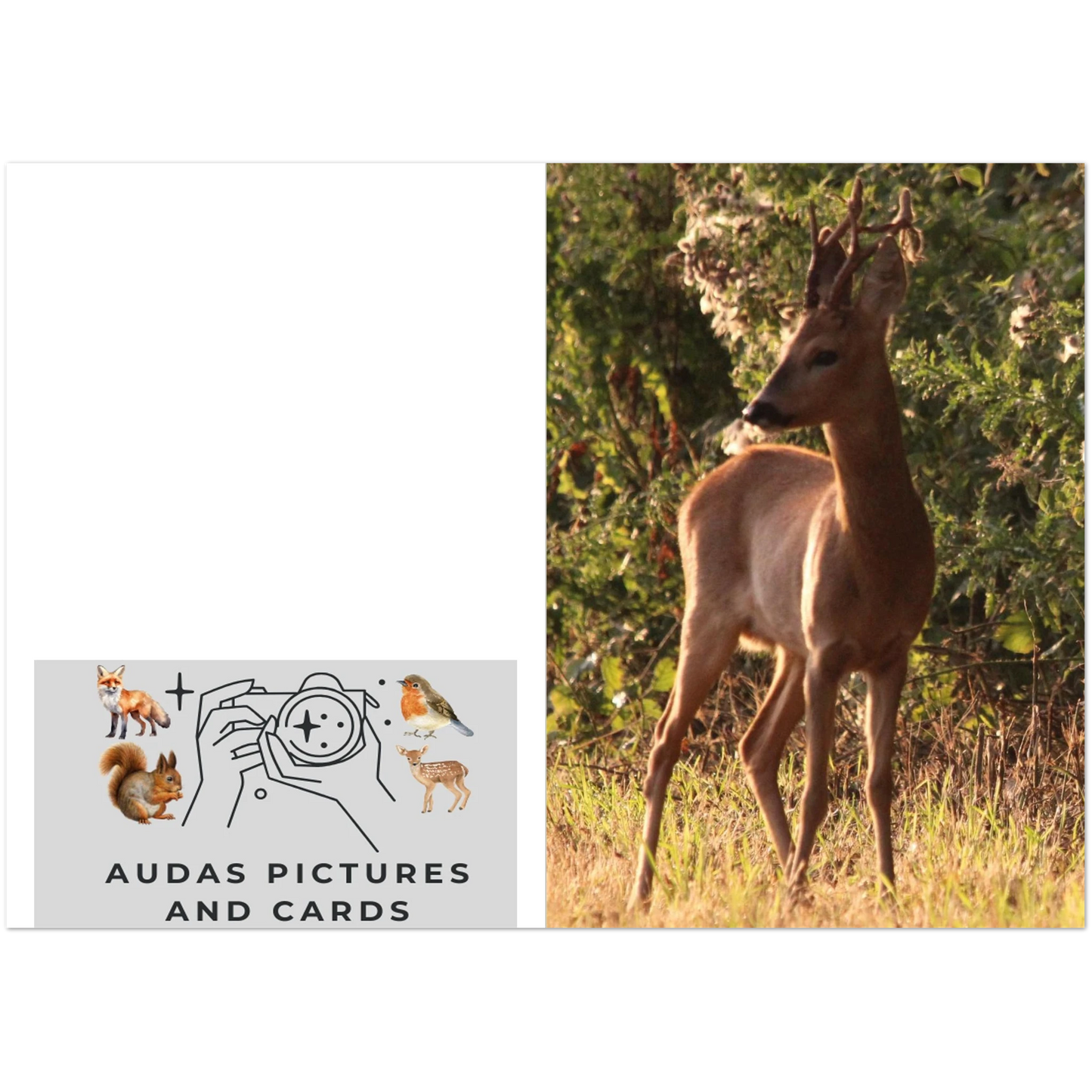 0cb95999-56b1-4663-aeb3-da1ac25bbb9d