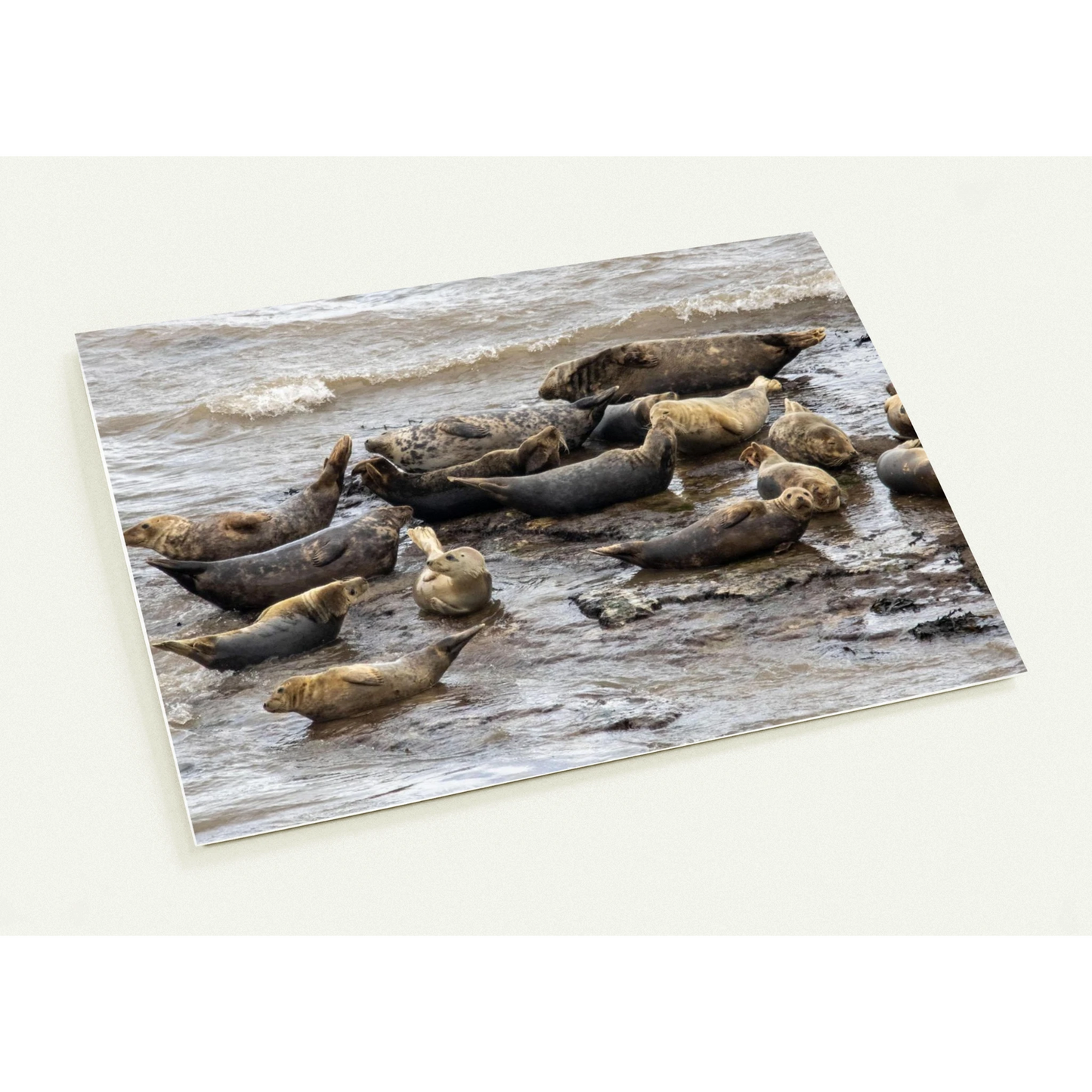 14efbdc1-5b38-4136-9f50-9ecb5398b36d