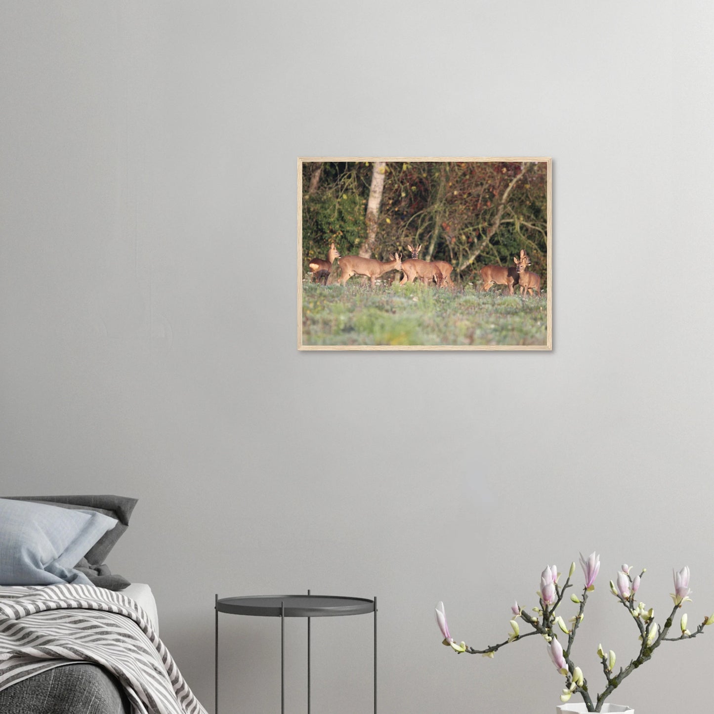 1655f5a1-6208-4fdb-8bb0-96964860659d