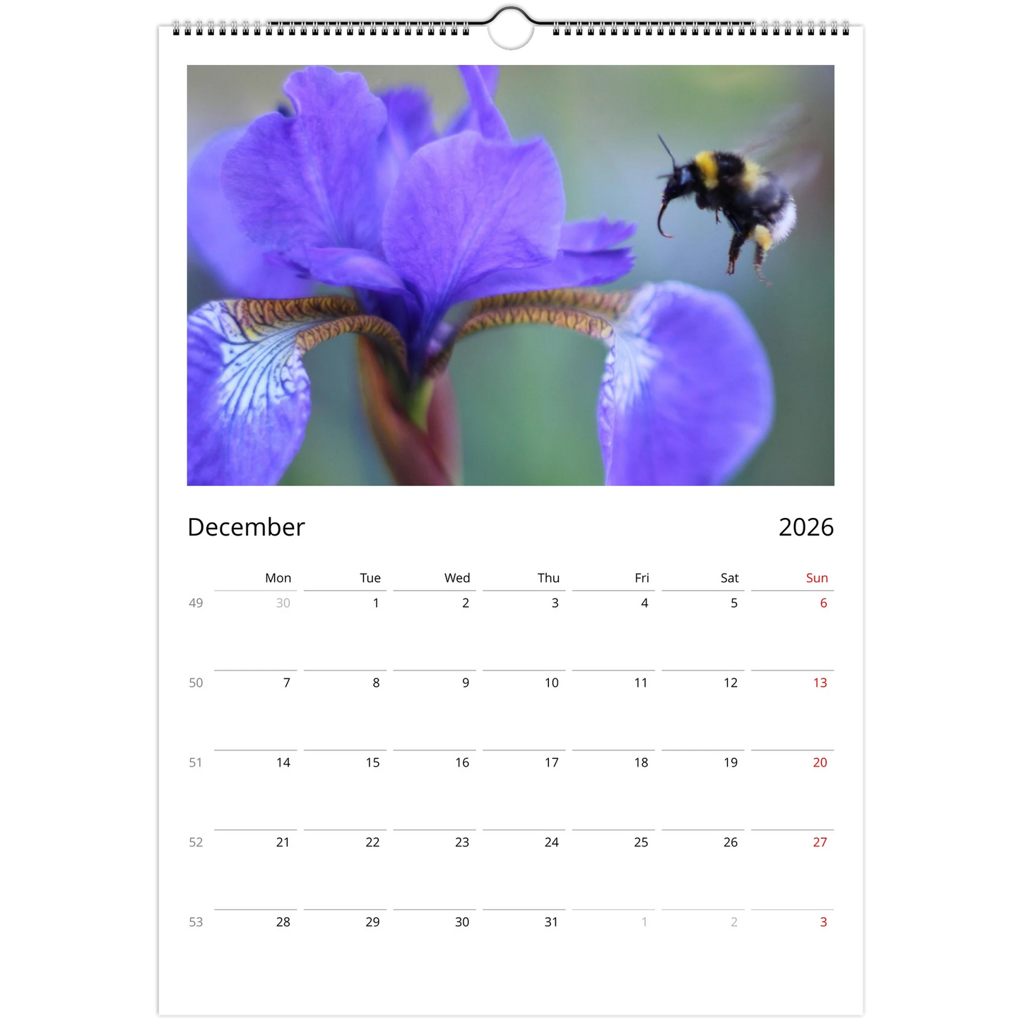 303bc520-e878-4e33-82fa-d2db46958707