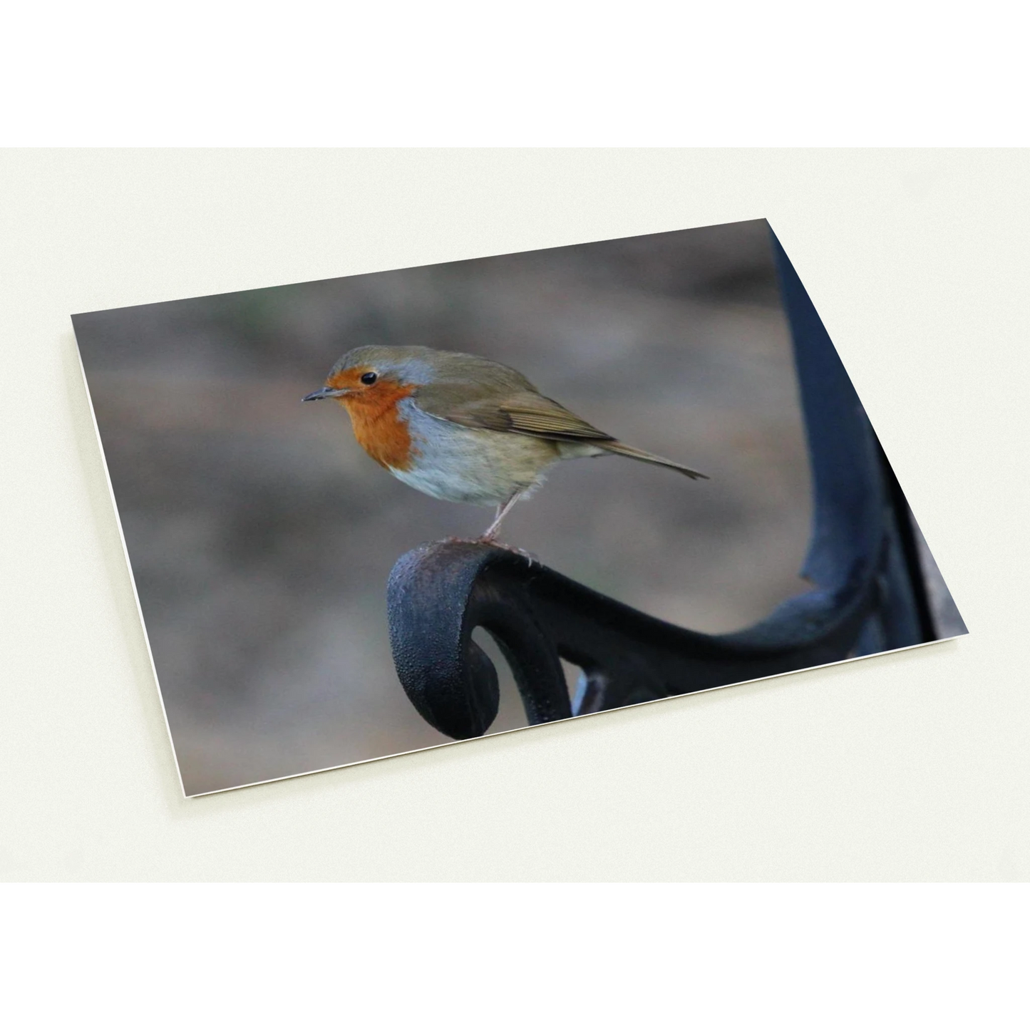 465e349f-818e-4d4b-9d4a-bb1cef0320fc