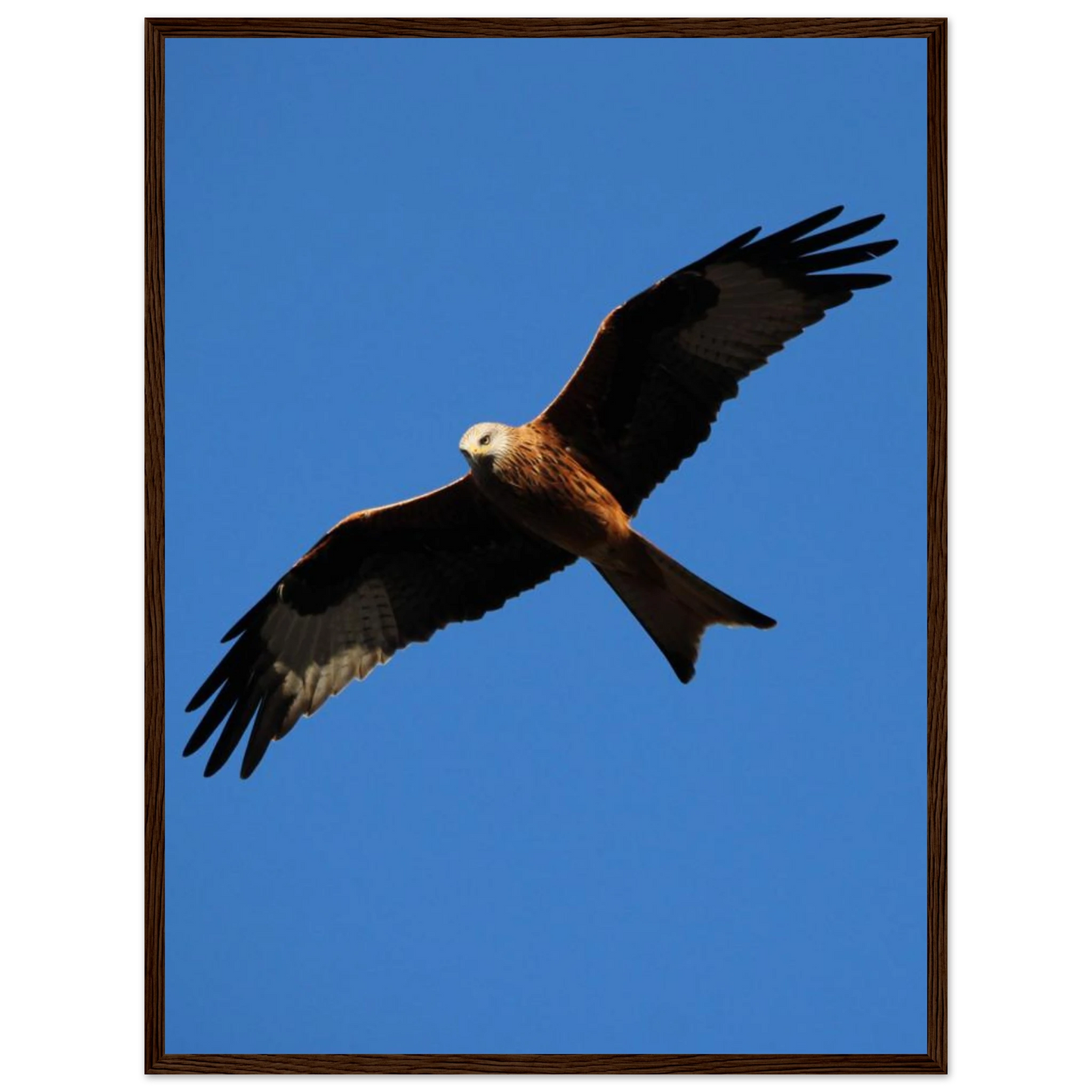 499ee67e-2f53-4463-8ace-22810b48cc81