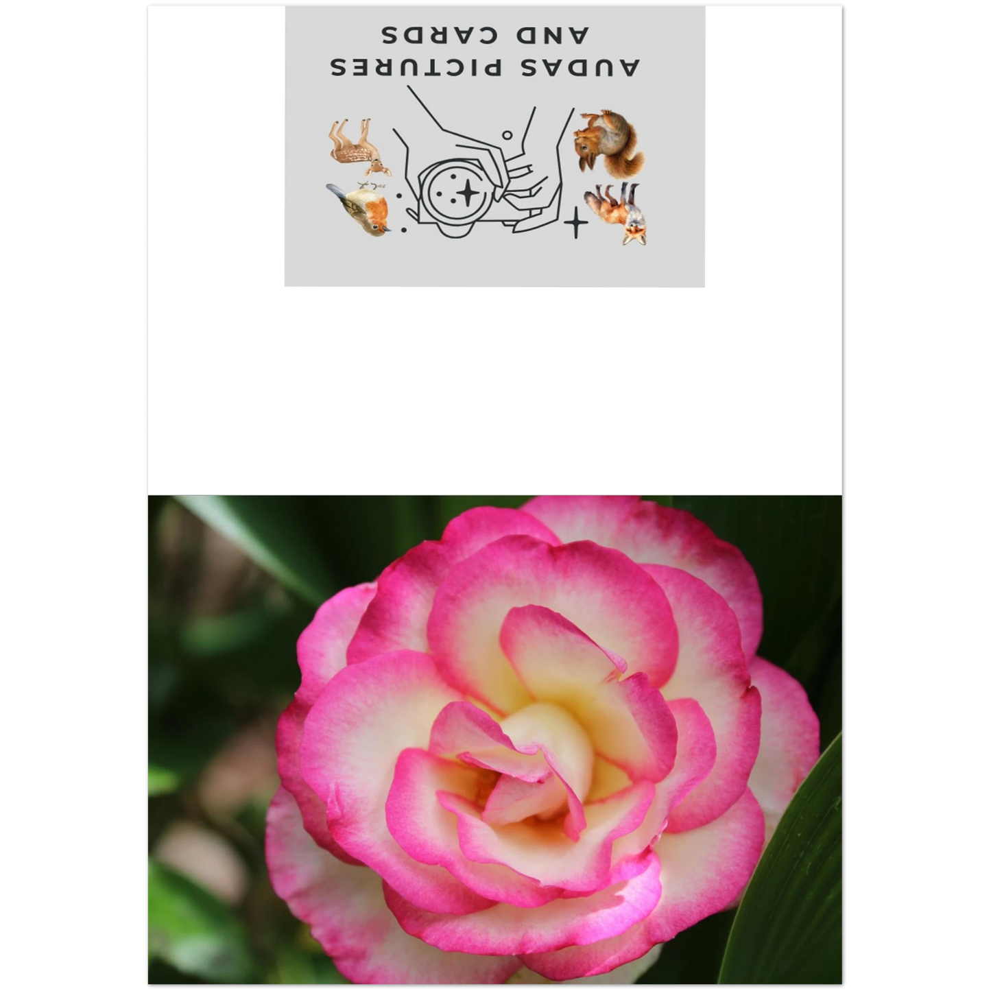 93749d64-541e-4ee7-9b19-fbc0eddec031