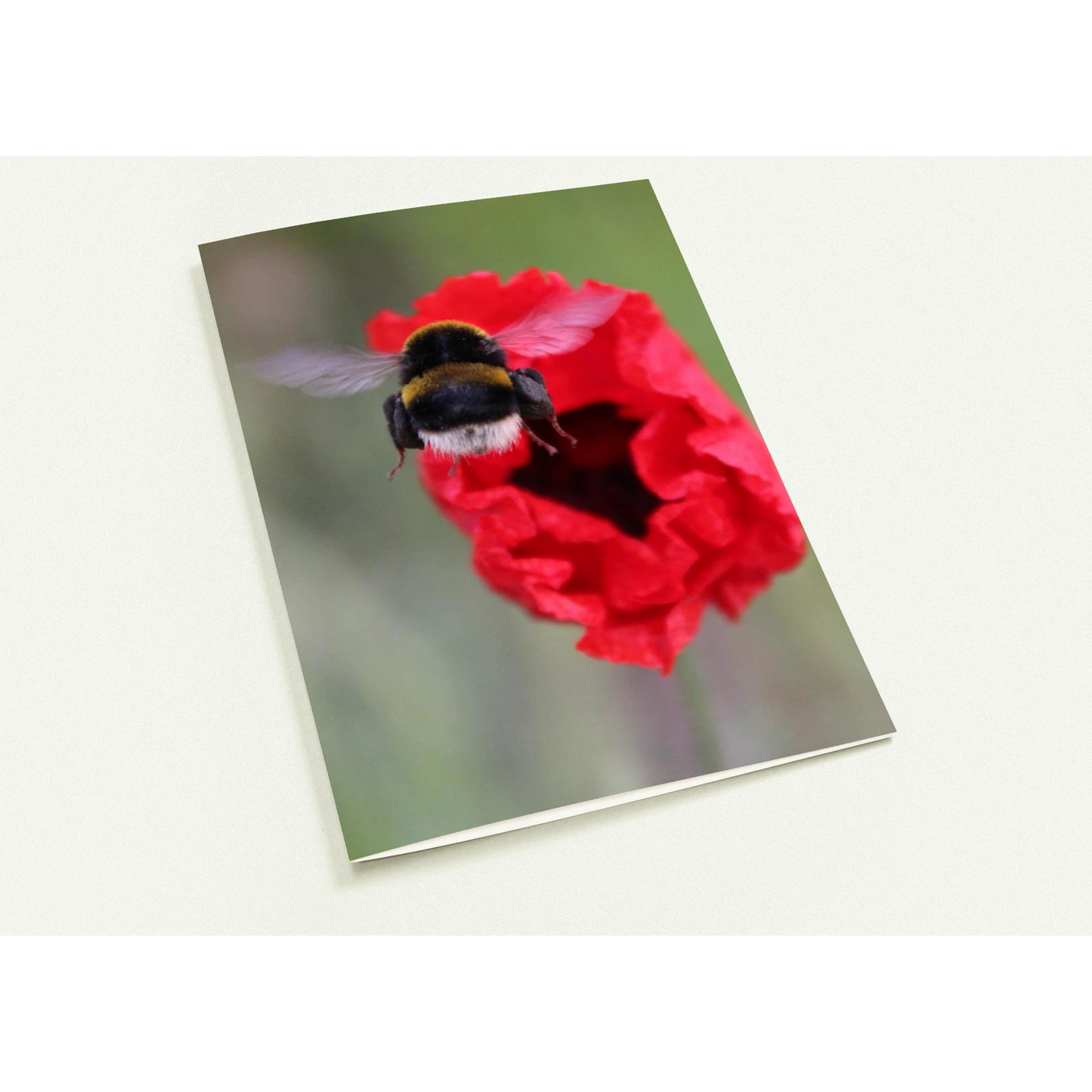 97e544f2-088f-4db5-a09b-e1d2788438e9