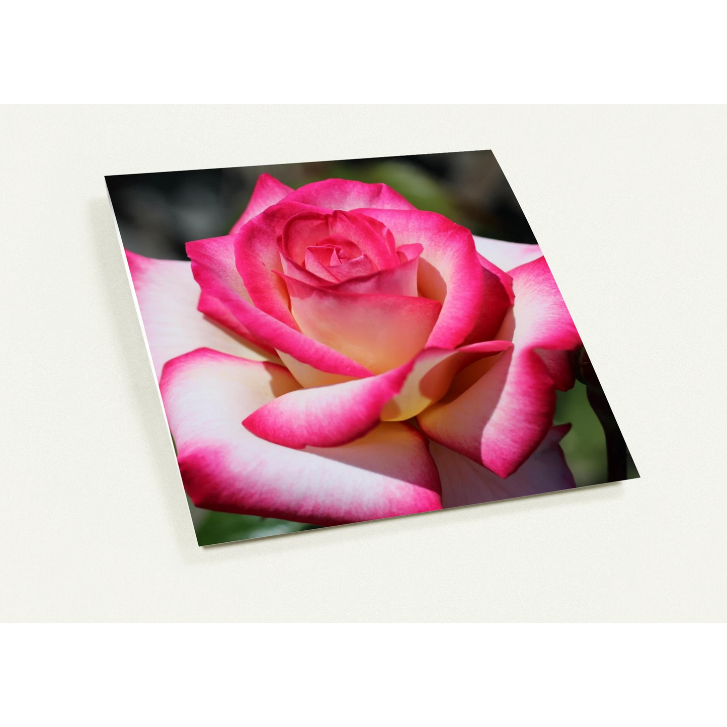 ad474075-c45e-48ed-92c1-ba85d282f09c