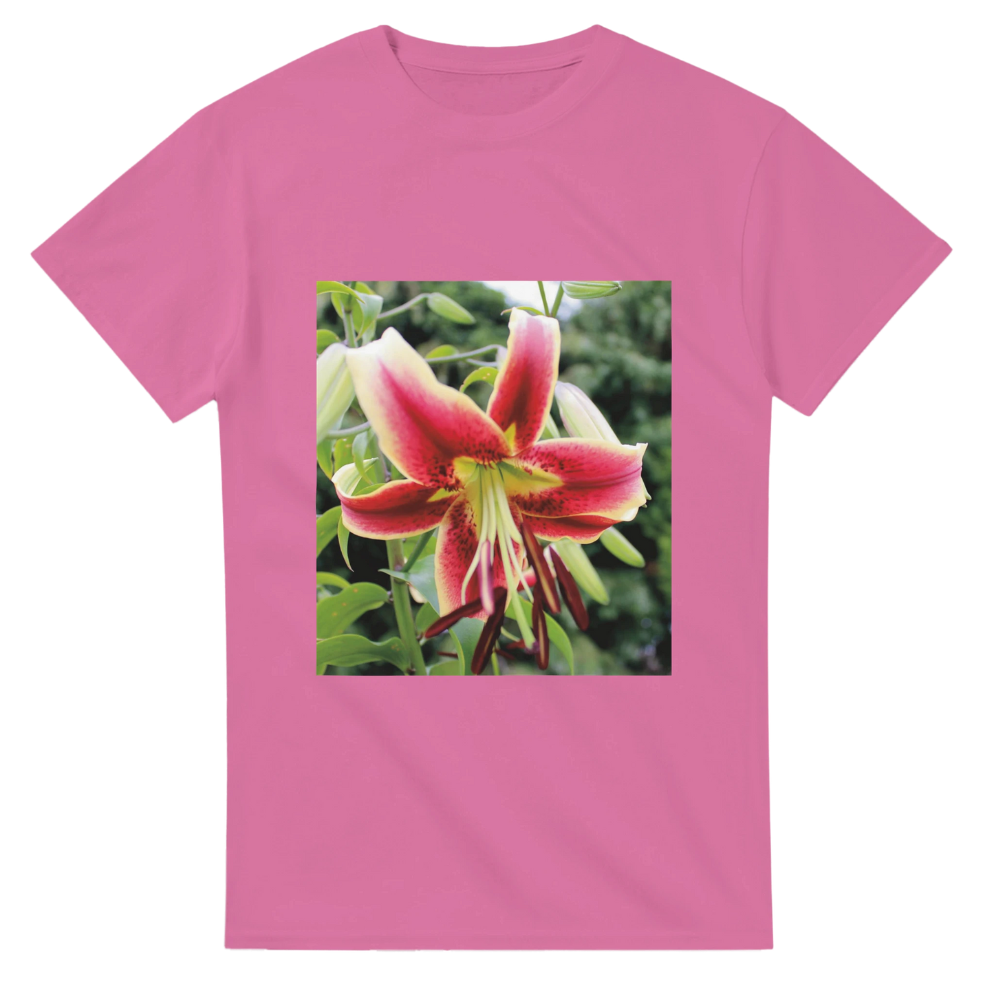 b8cc0ccc-7877-4d1a-957d-ff924f04b8ee