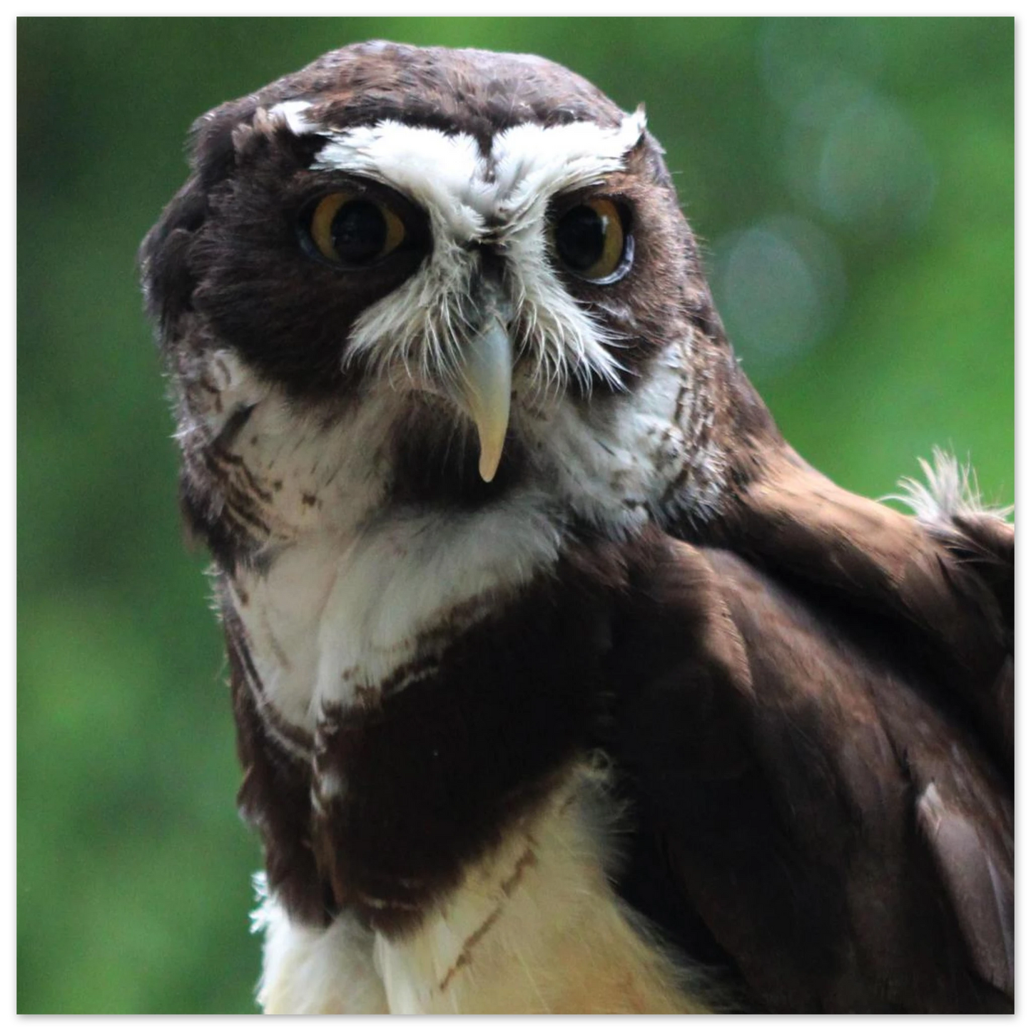 bd34490e-73a3-40ed-a50a-3a3d783ff7f6