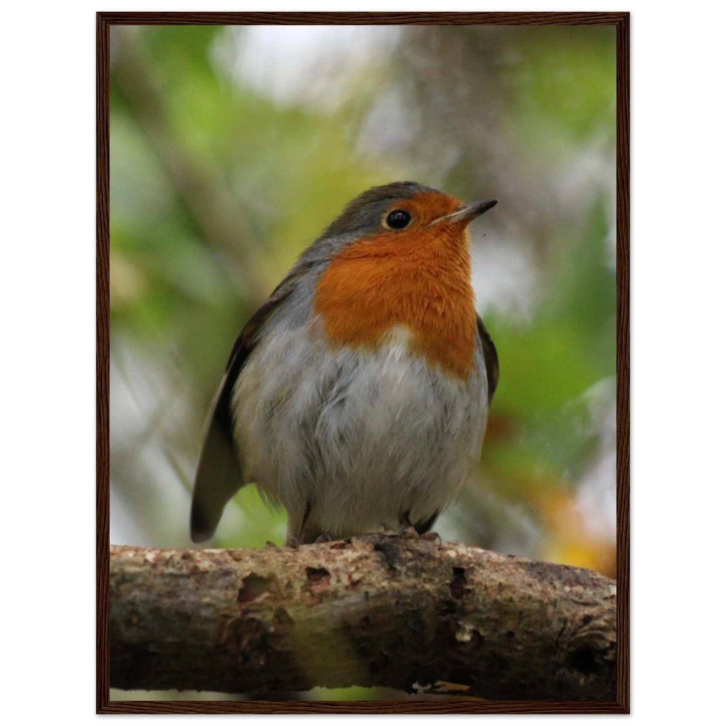 eb942f02-c4a6-4852-b955-9a210b07277f