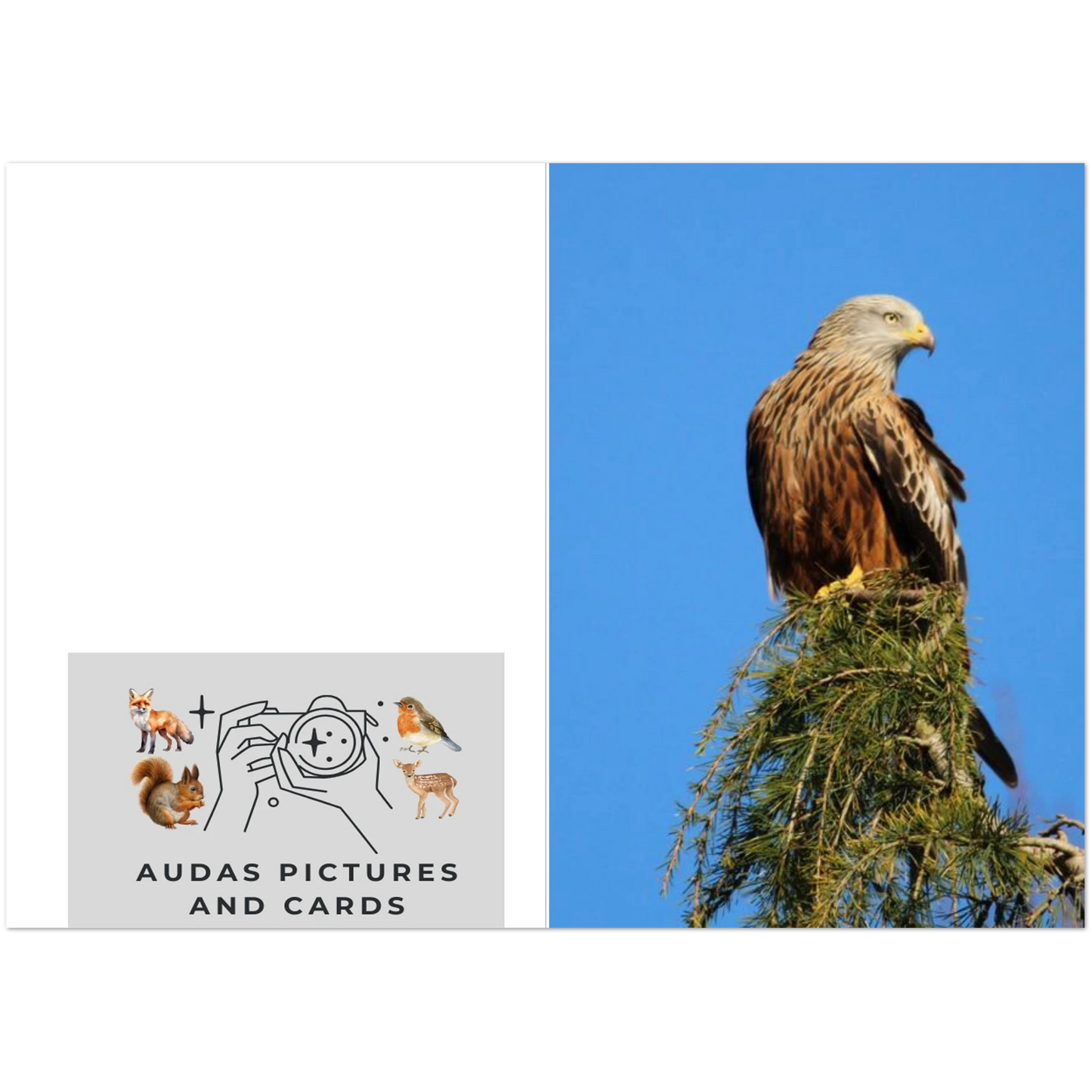 ee5b9431-53db-4c71-83d7-5c566f751358