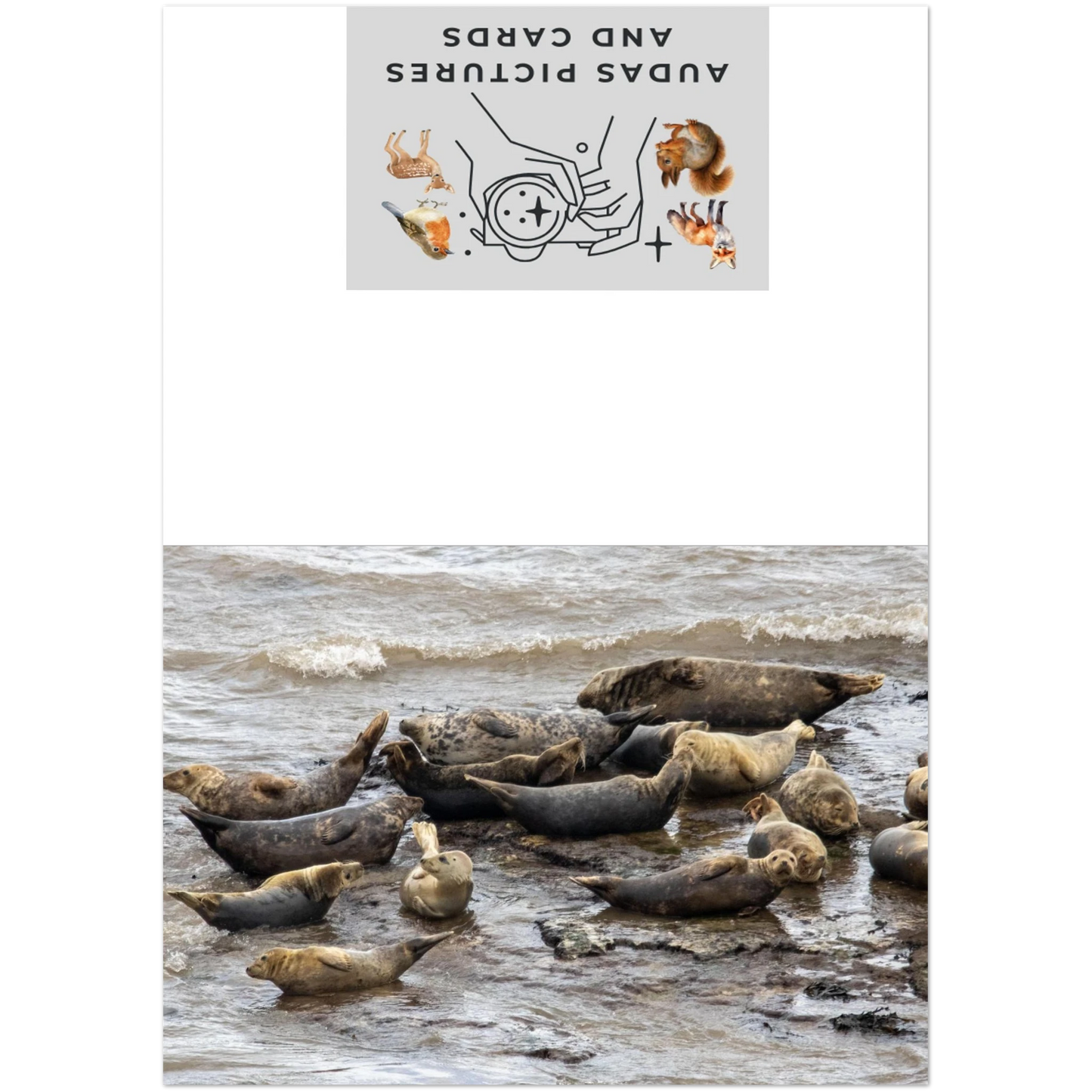 02e47953-3a89-4f2f-b0e4-298a4110a3c2