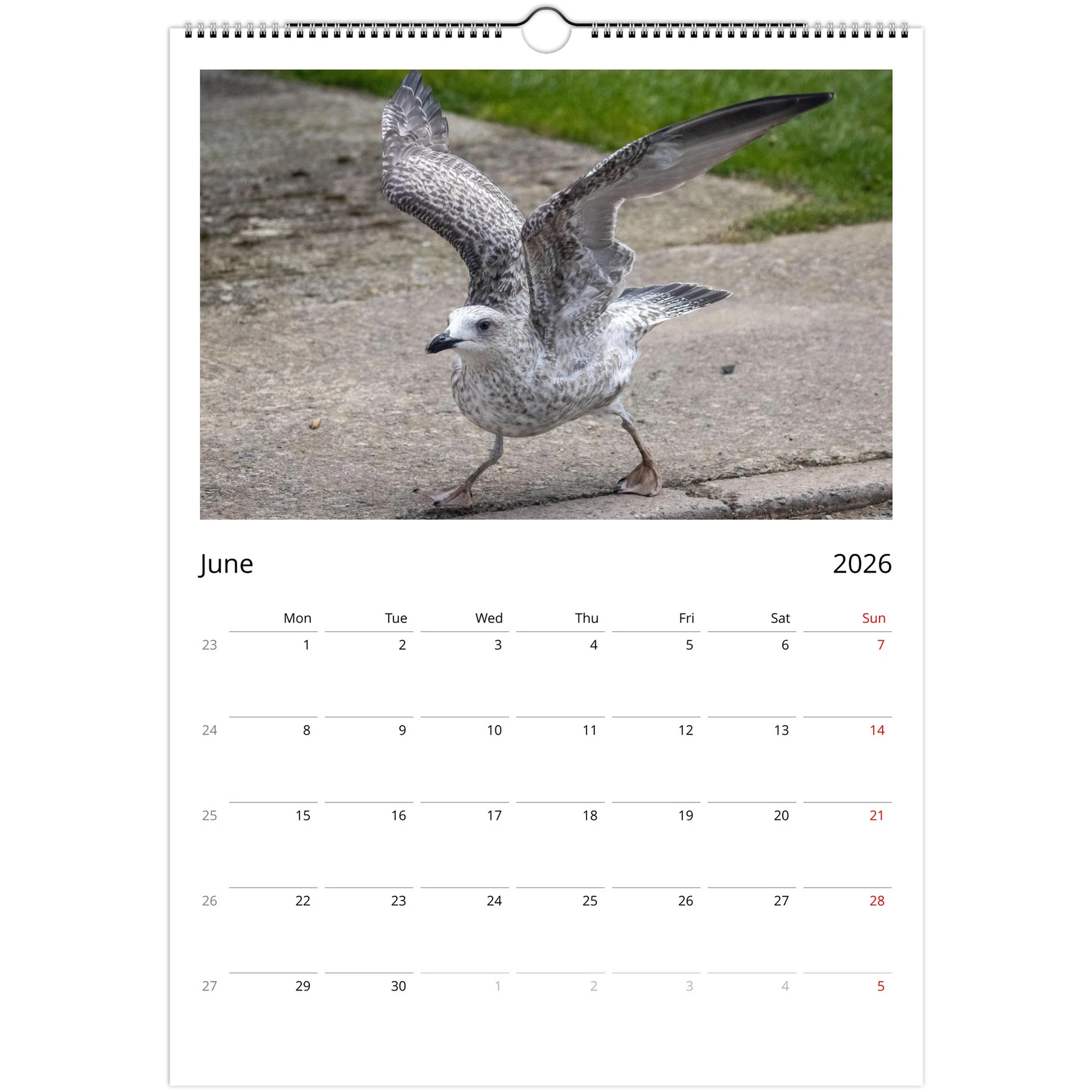 03de0aa2-0925-4fca-bf1d-c996426c9341