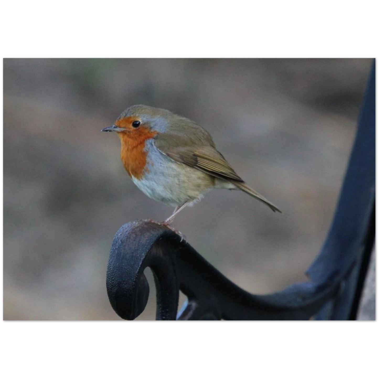 058bf6ce-7ae9-4f0a-b87a-7b1a5d25bc04