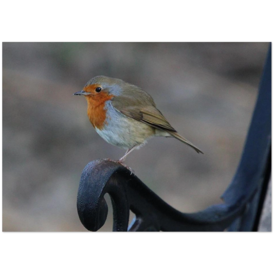 058bf6ce-7ae9-4f0a-b87a-7b1a5d25bc04