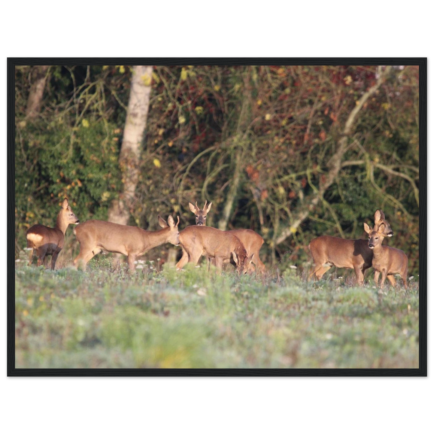 0adbcf41-d2eb-46c3-857c-87f9d940c390