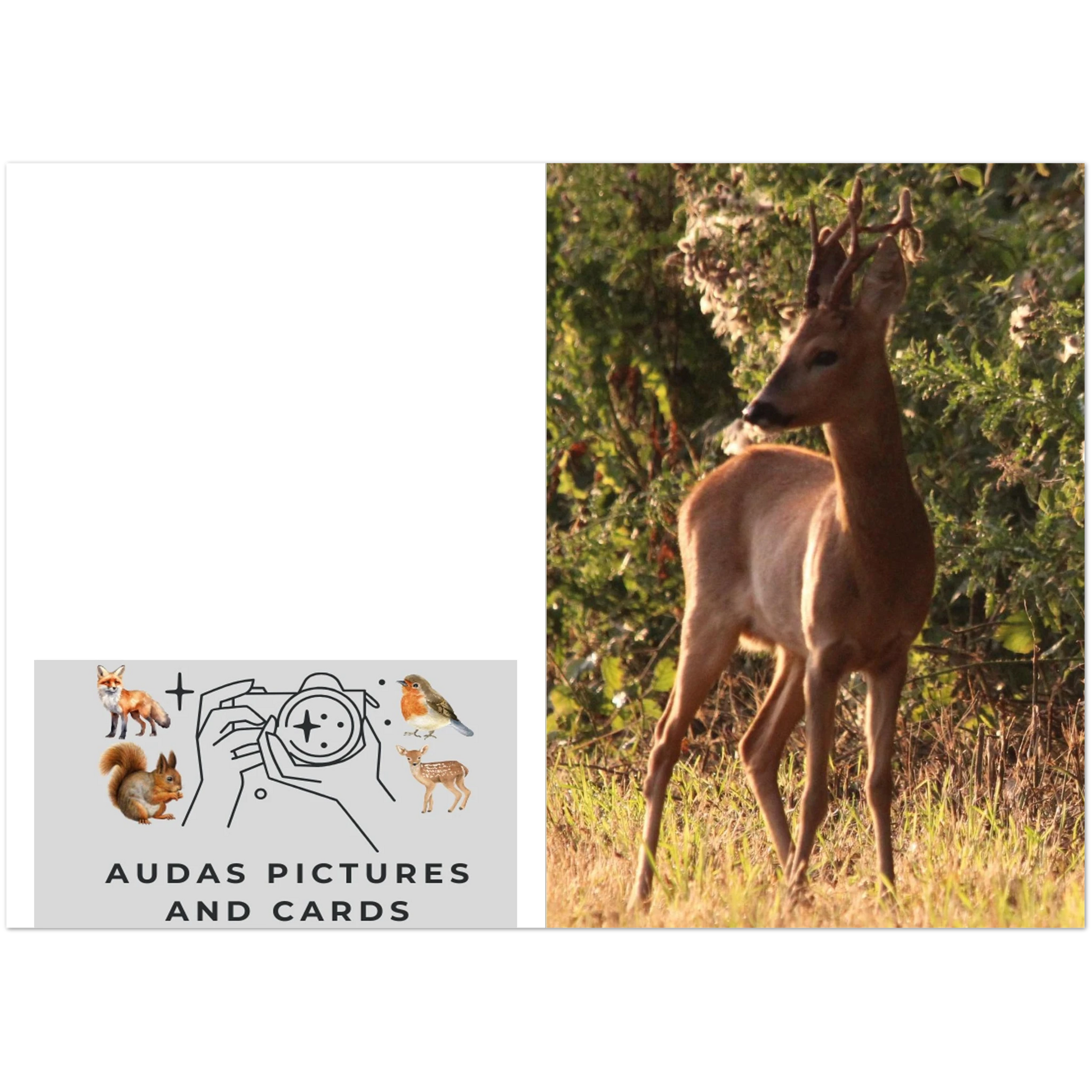 0cb95999-56b1-4663-aeb3-da1ac25bbb9d