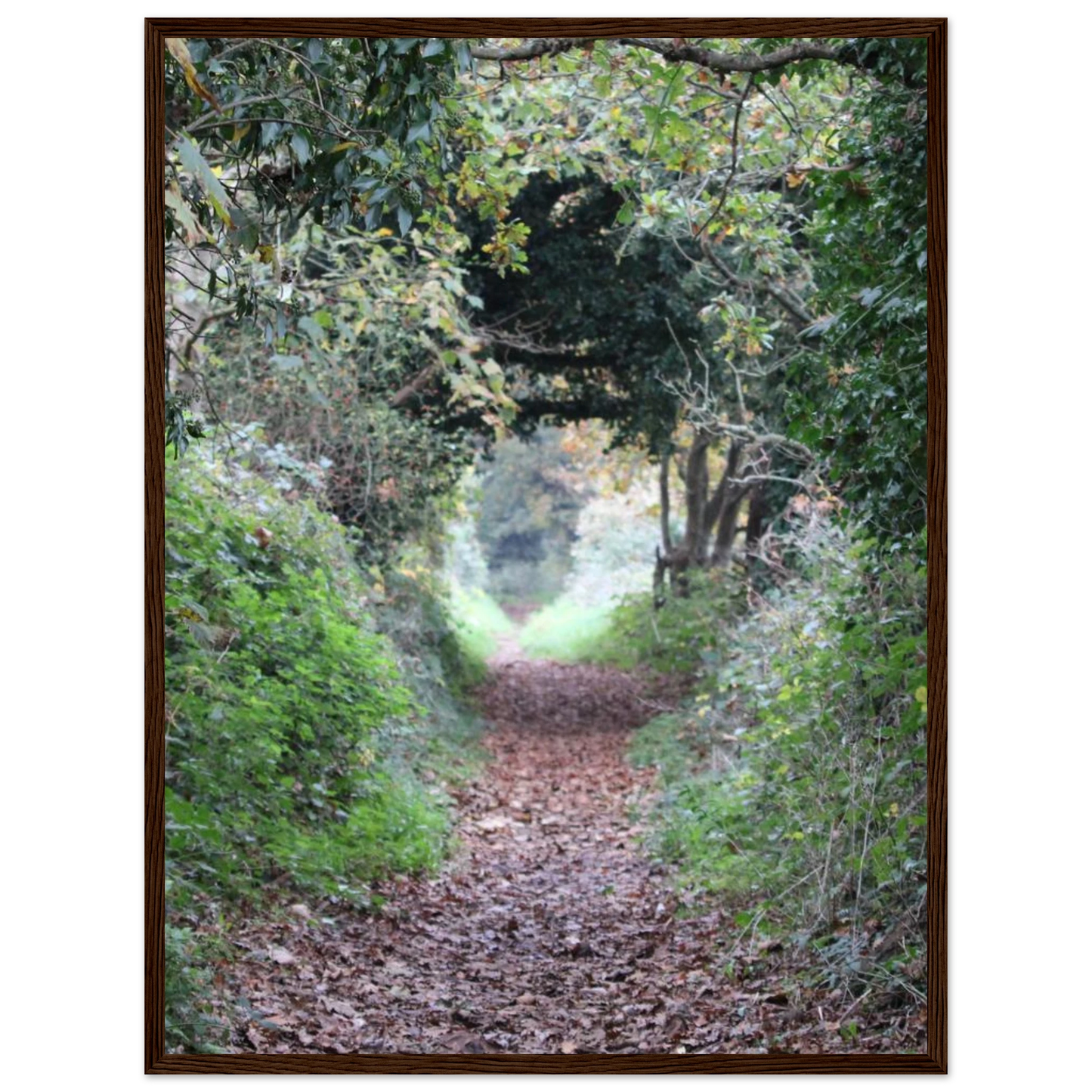 13ce81d2-e101-433b-b5cc-9989eac3b3c1