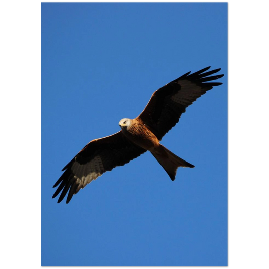 19edb2a9-89a5-44d7-9a55-74913f48732c