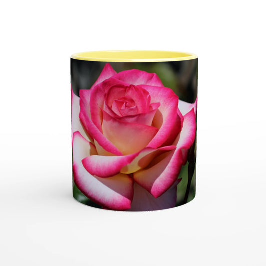 1e789eea-9d65-4e4b-8c63-e95d4b1163d3