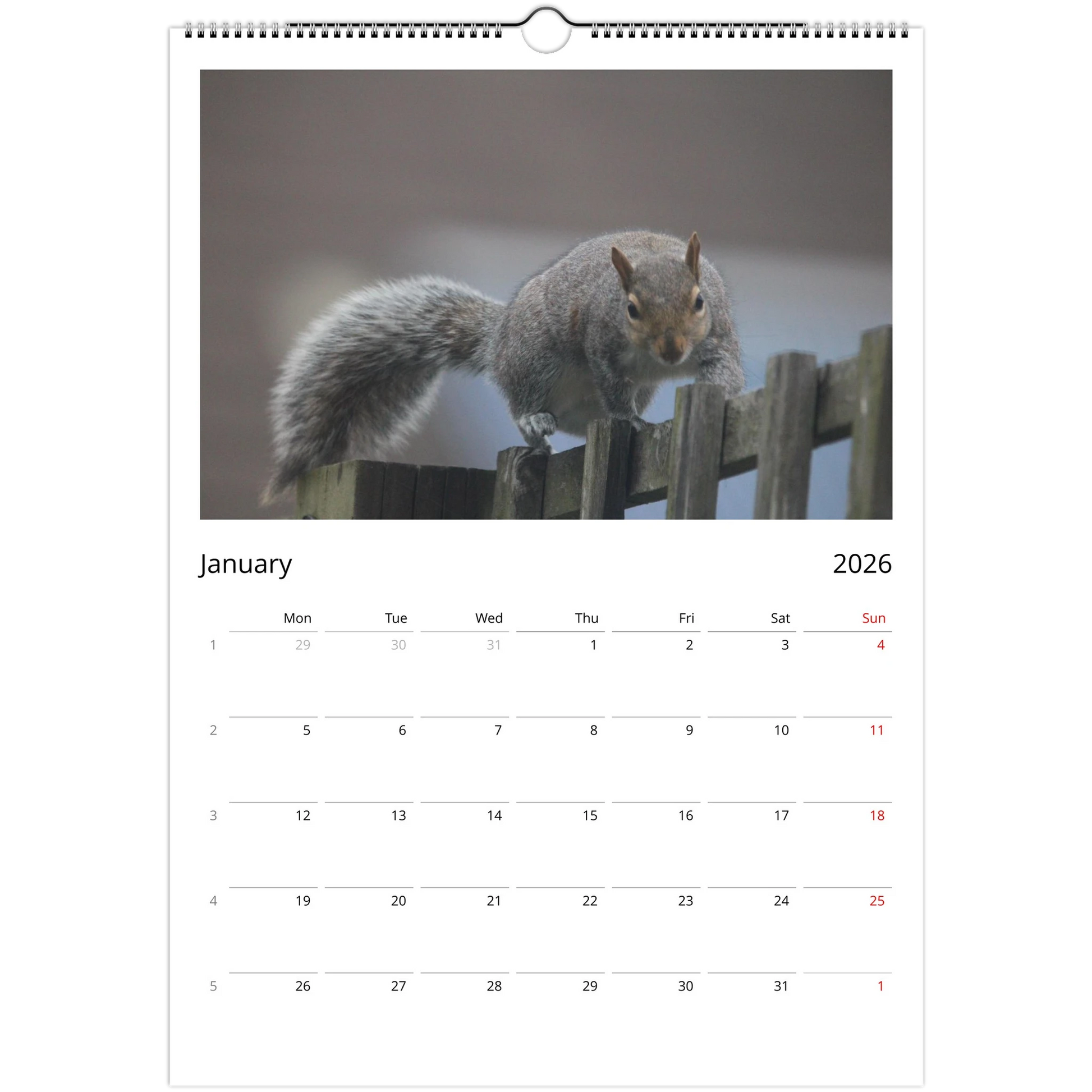 1f30a70a-9d08-4edf-8b56-e84926603787