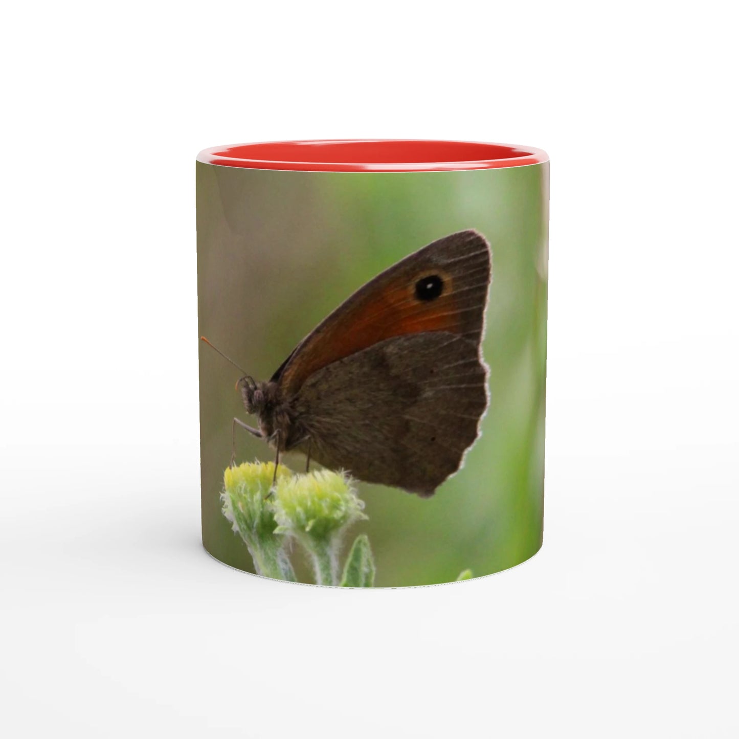 1f9fd209-3626-47d2-9620-e1c4eee79608