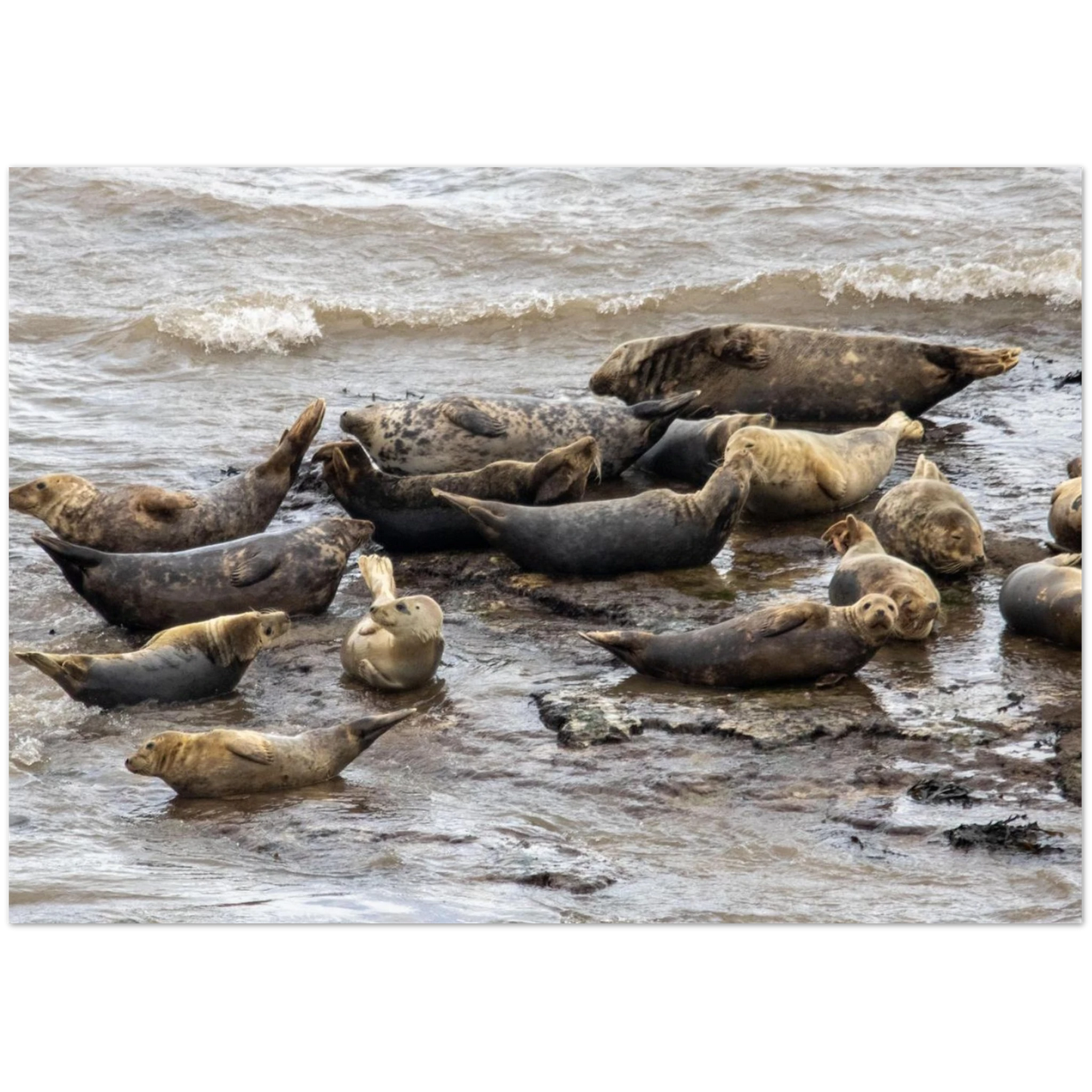 21e7a65c-04ea-40a5-93c9-10b33befeb90