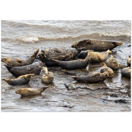 21e7a65c-04ea-40a5-93c9-10b33befeb90