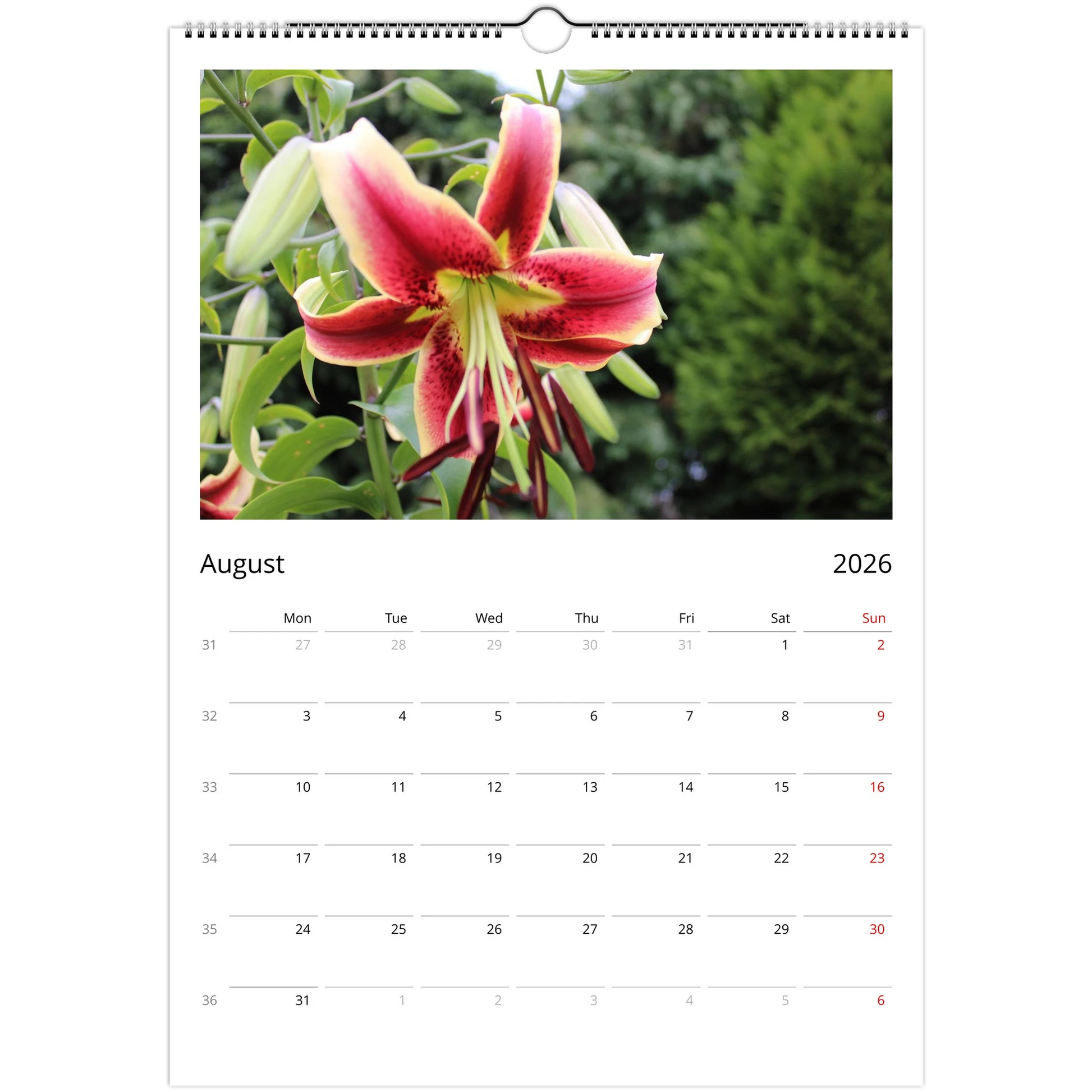 220aa410-171f-4e42-a6b6-28849582c68a