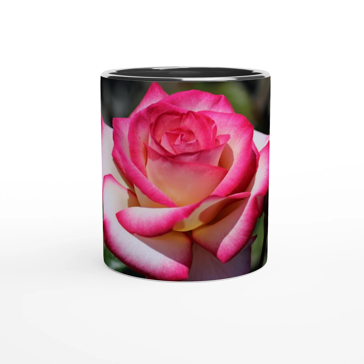 258e0ba5-2c5e-4a50-8e38-d77fc8090cf7