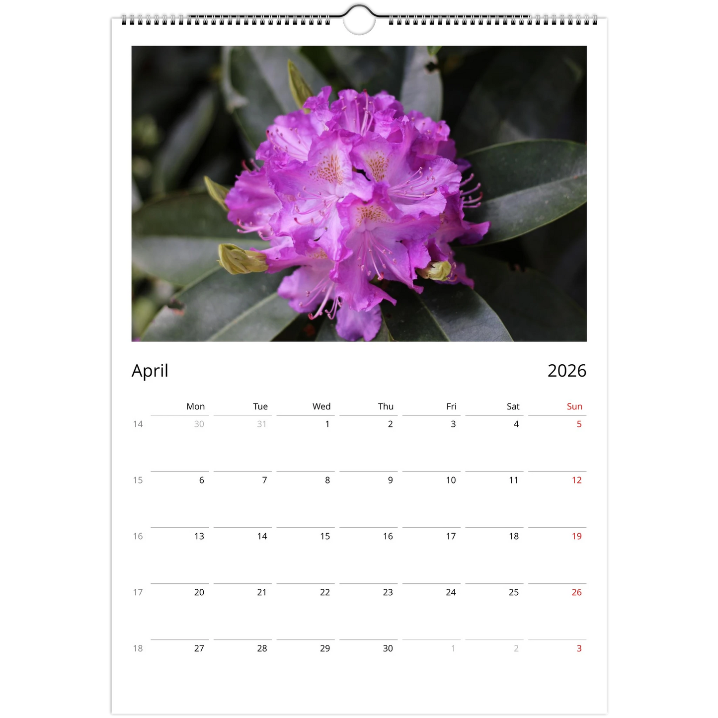 27e7f7d8-4924-498c-93fd-273a2abbcf3d