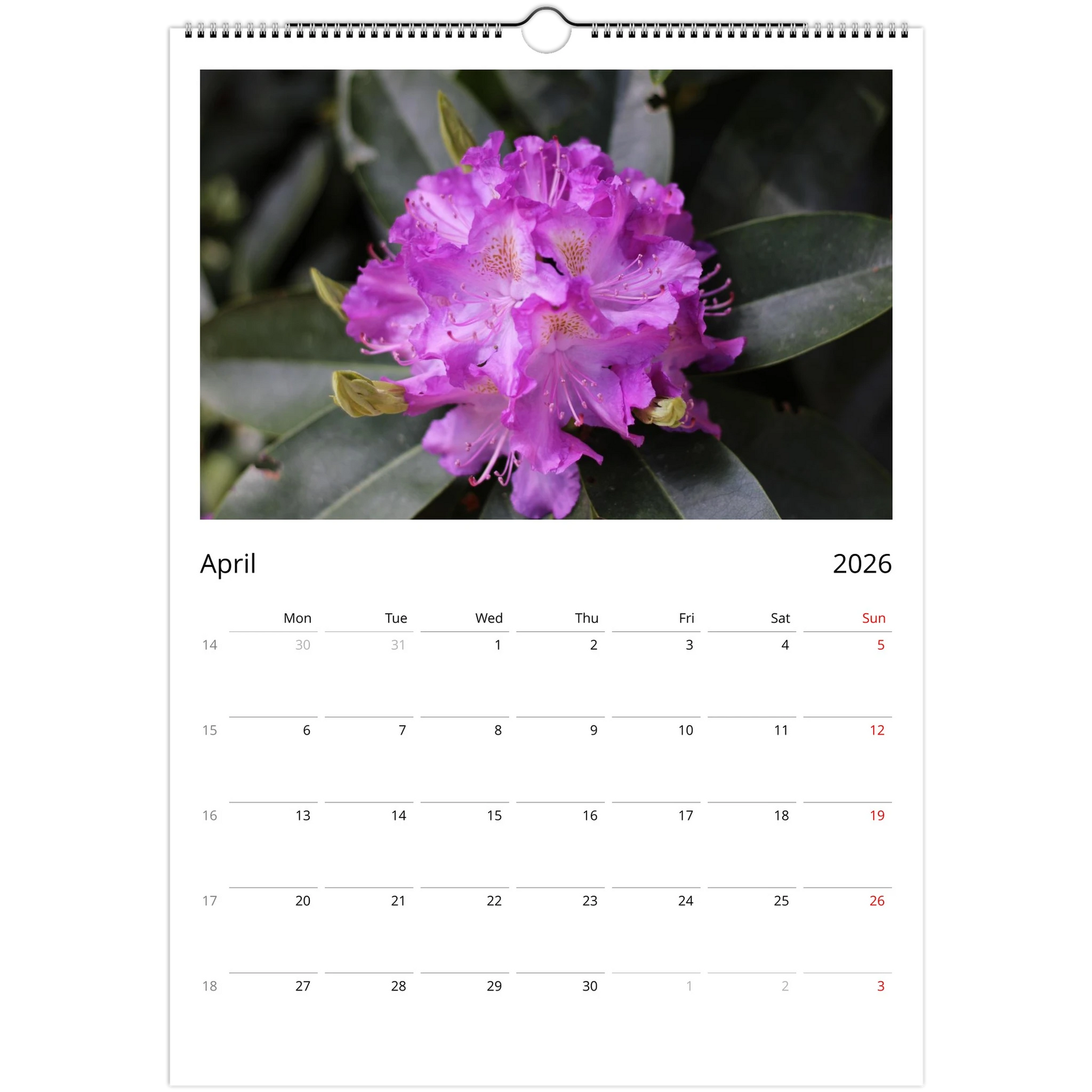 27e7f7d8-4924-498c-93fd-273a2abbcf3d