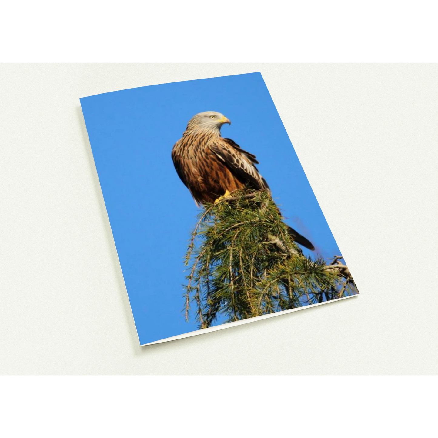 29733212-c690-4b38-8440-af9ee565f734