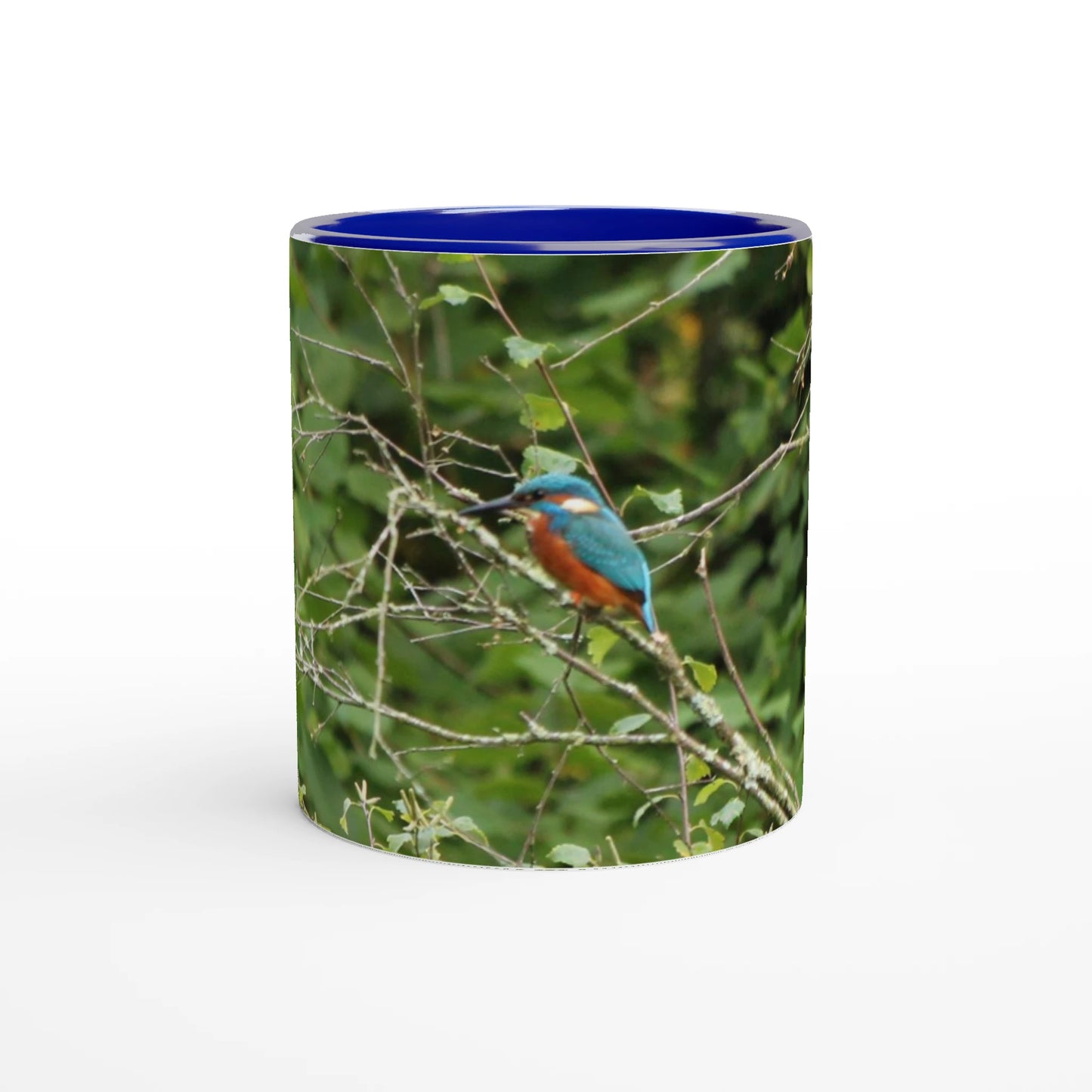 2f6809ed-ca6c-4976-a3ab-b29f8f6f44f9