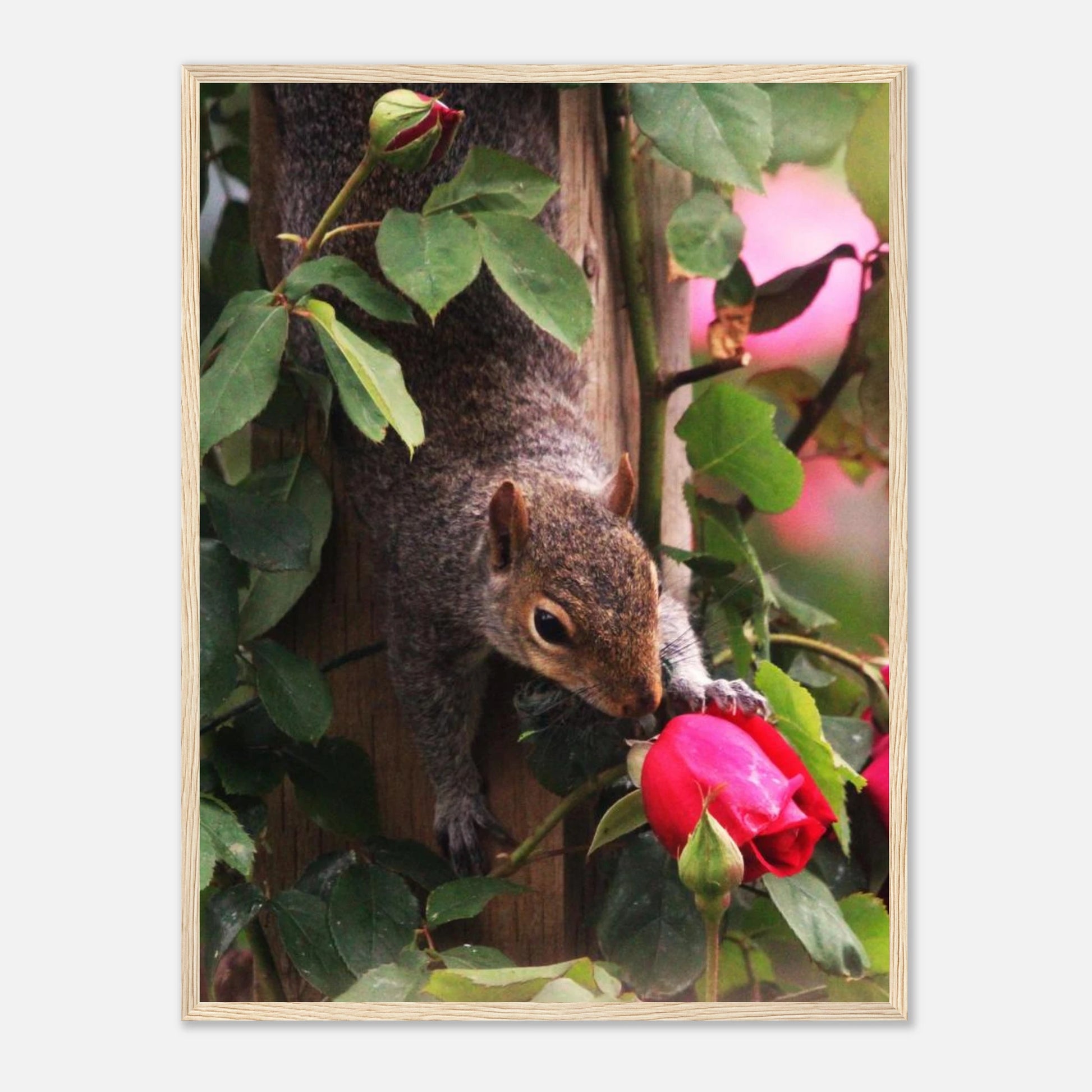 30351ebe-e02a-422b-bbc9-0699b7cea161