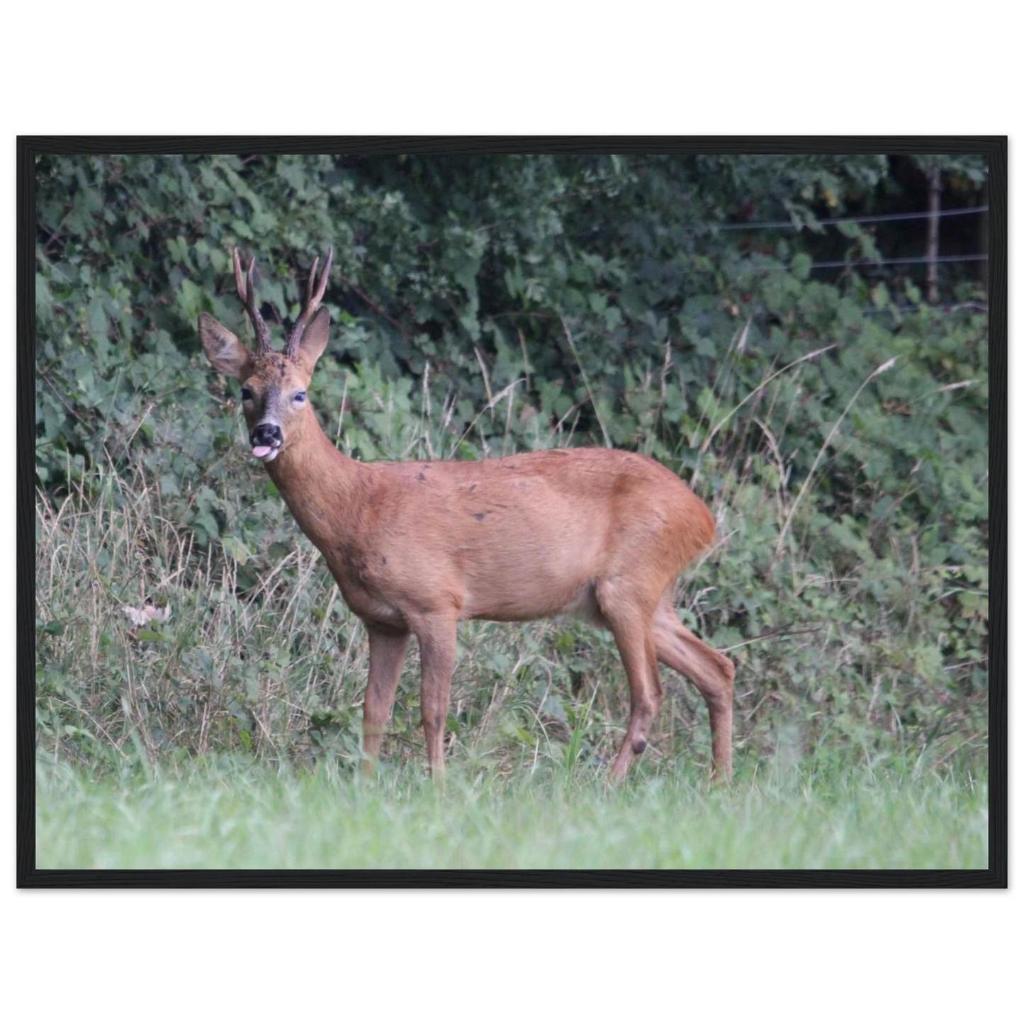 3055edd2-9759-4eb9-802e-aa2c5946de60