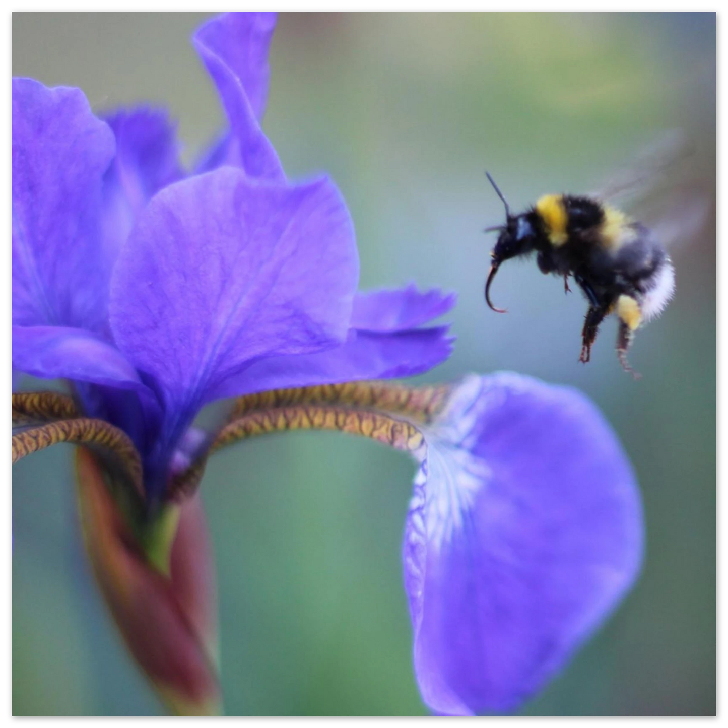 31292925-bd0d-4de2-a3ee-79d90c9549c0