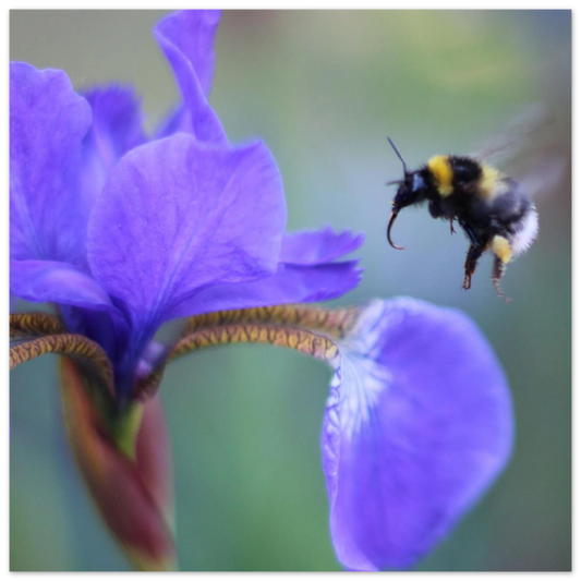 31292925-bd0d-4de2-a3ee-79d90c9549c0