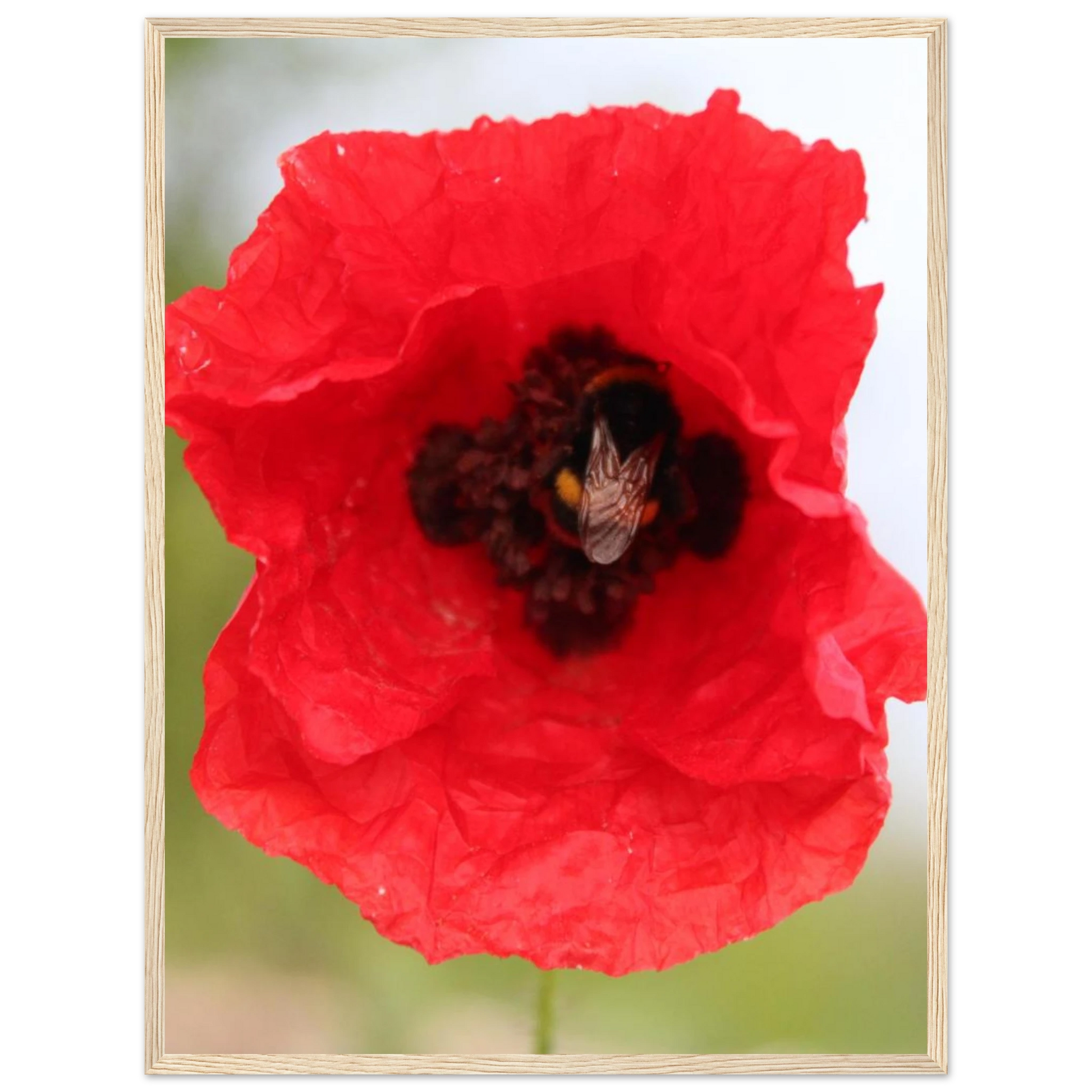 32af82fe-1121-4801-a484-90093f6de8fa