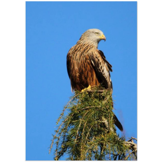 3678f1ab-fa87-4628-8124-6d6a625792d8