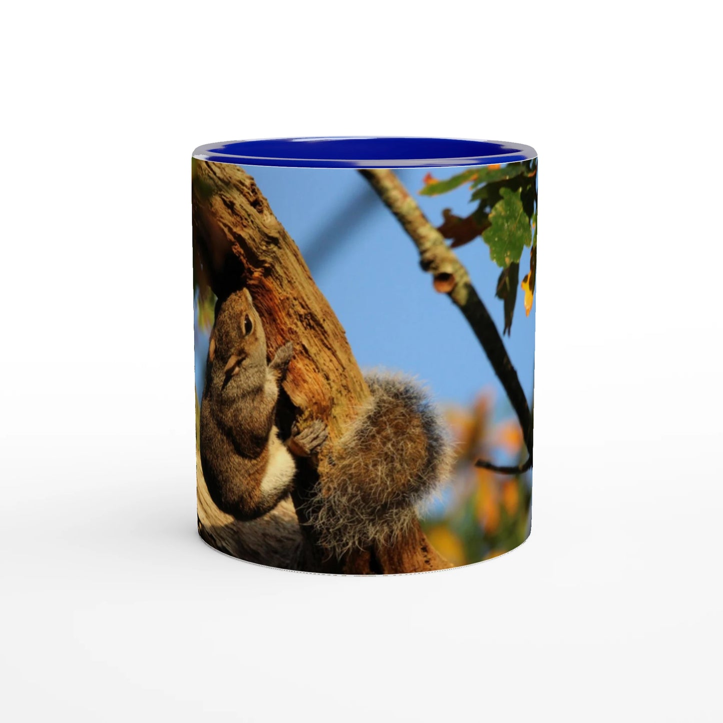 3924a7e0-3080-45c1-8718-4fe8f9b3570a