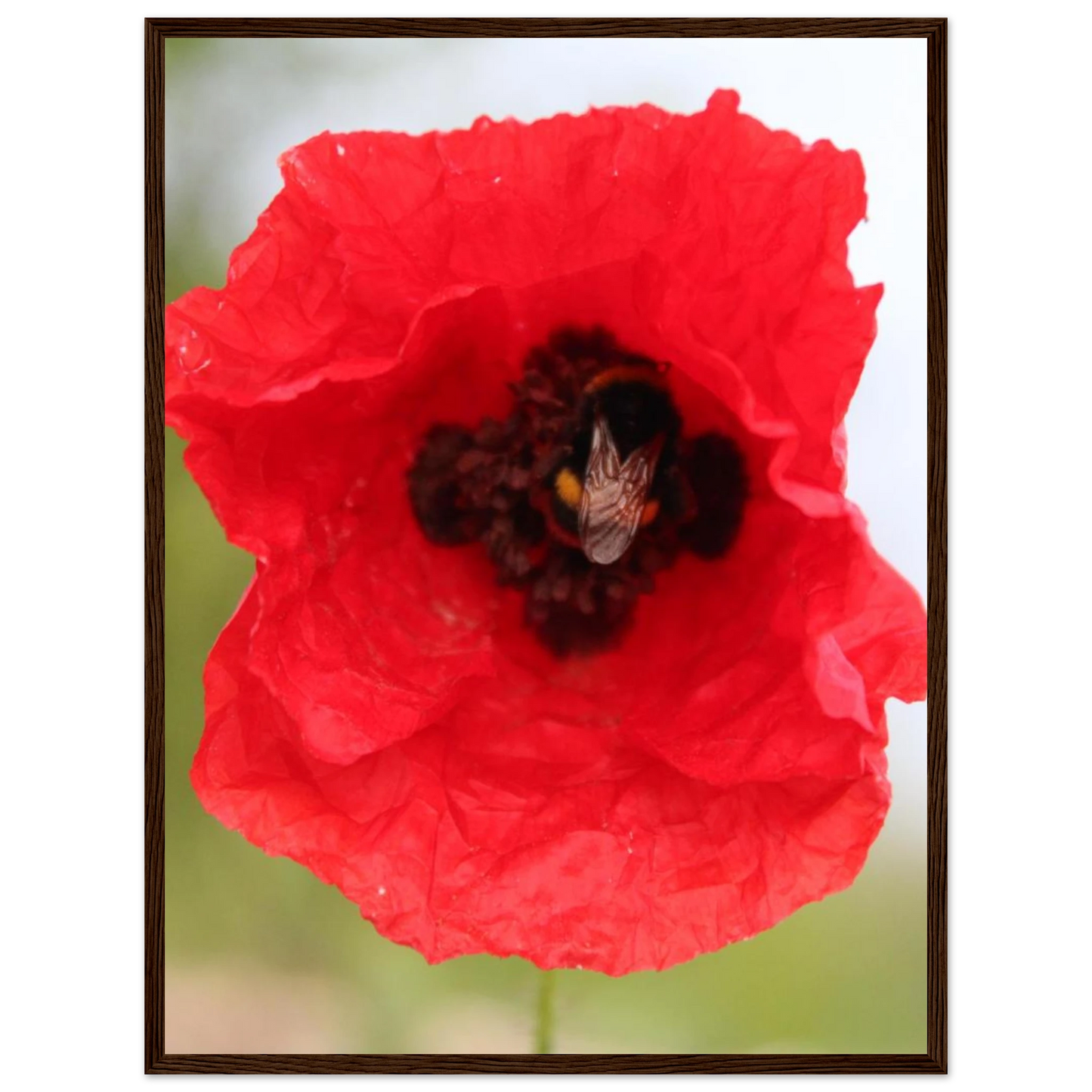 39c346d9-2a64-4d82-9c82-368b01d52c8a