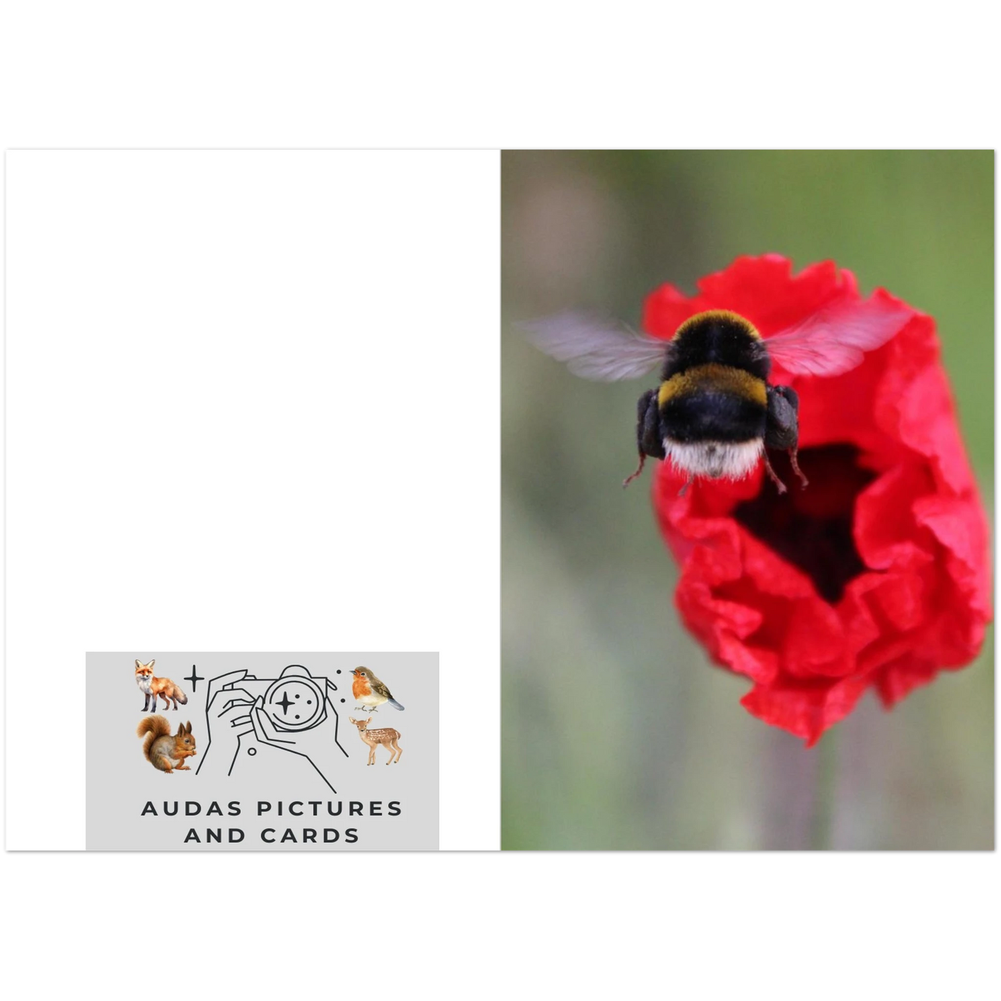 4076c87a-8088-40cb-8a83-b75effea19c9