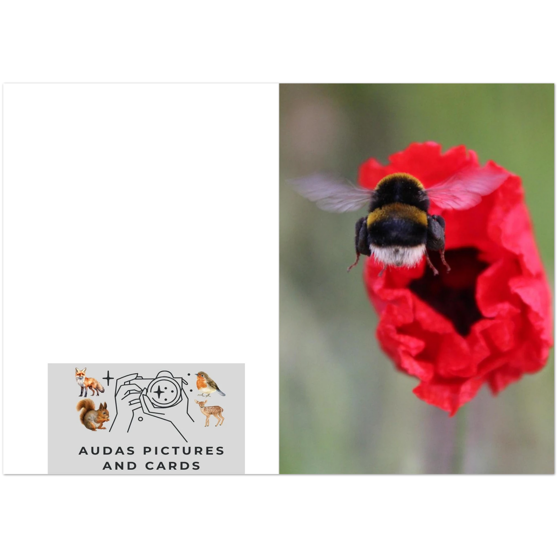 4076c87a-8088-40cb-8a83-b75effea19c9