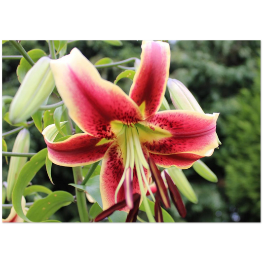 4267305f-7ef2-4ff9-8f80-28c0aefade4b