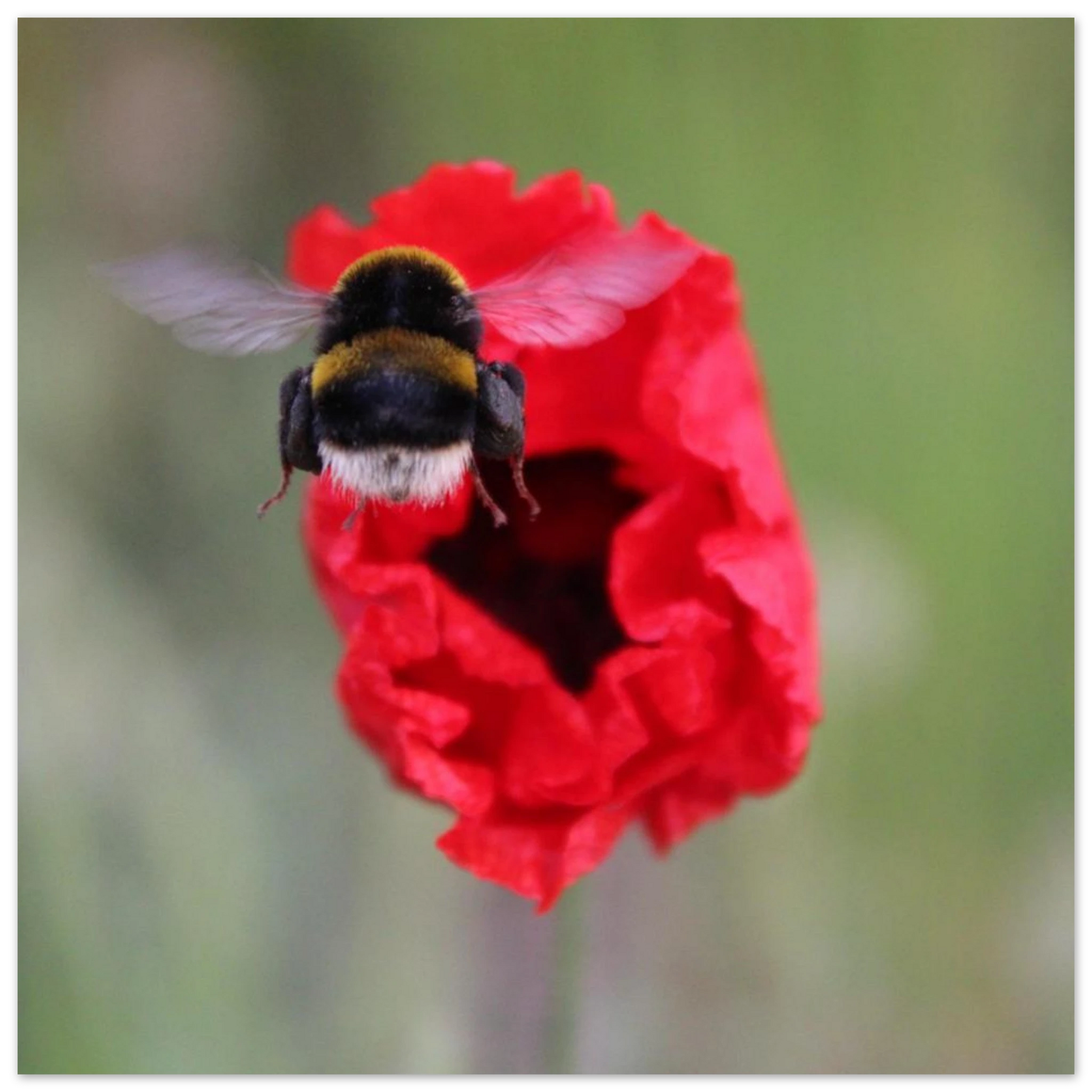 44f11df5-6255-41d6-9322-33060824cb61