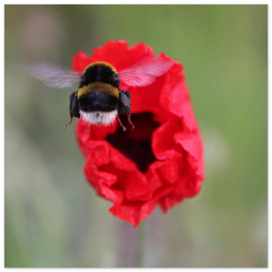 44f11df5-6255-41d6-9322-33060824cb61