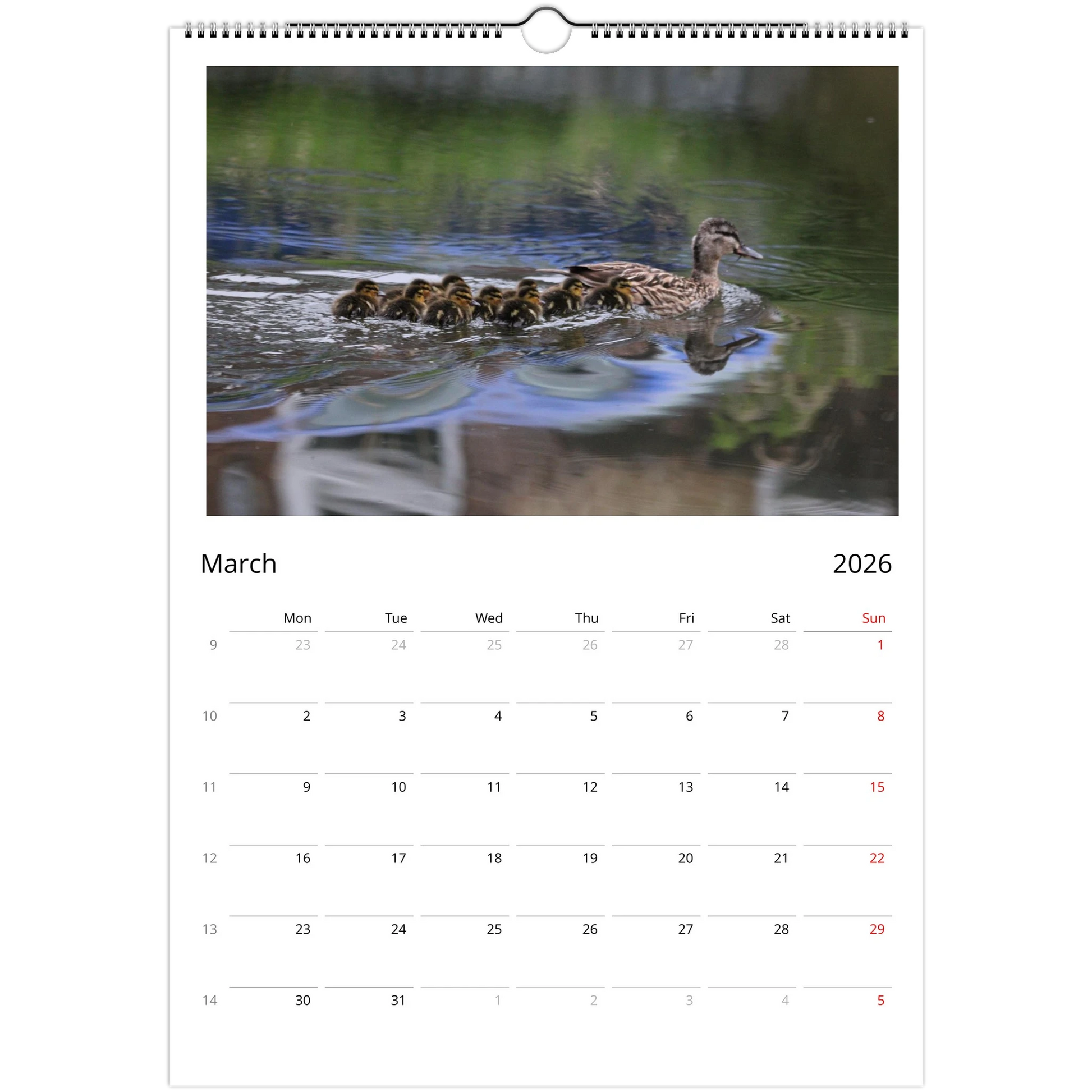 45579b0c-fc6d-40be-aa7c-c70f38e56f56