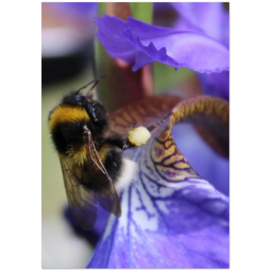 47334668-7069-43ca-ba3a-49298ce2a6f8