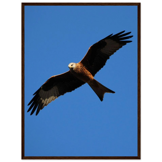 499ee67e-2f53-4463-8ace-22810b48cc81