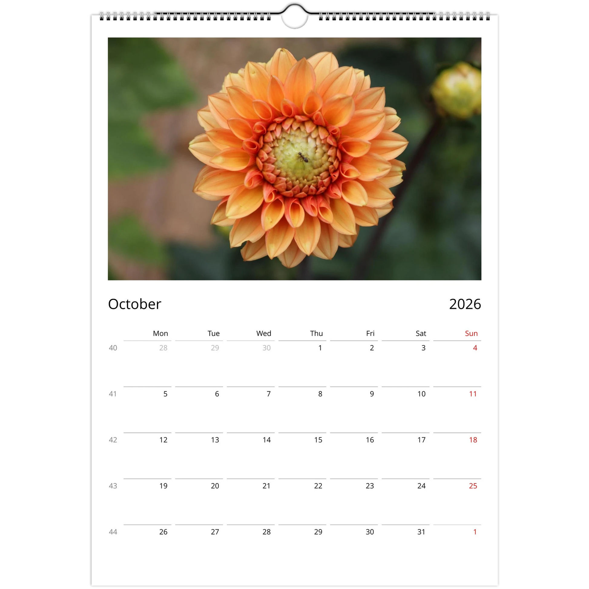 49f0d2f0-9f9f-42dd-9ca9-da5ac9ea925c