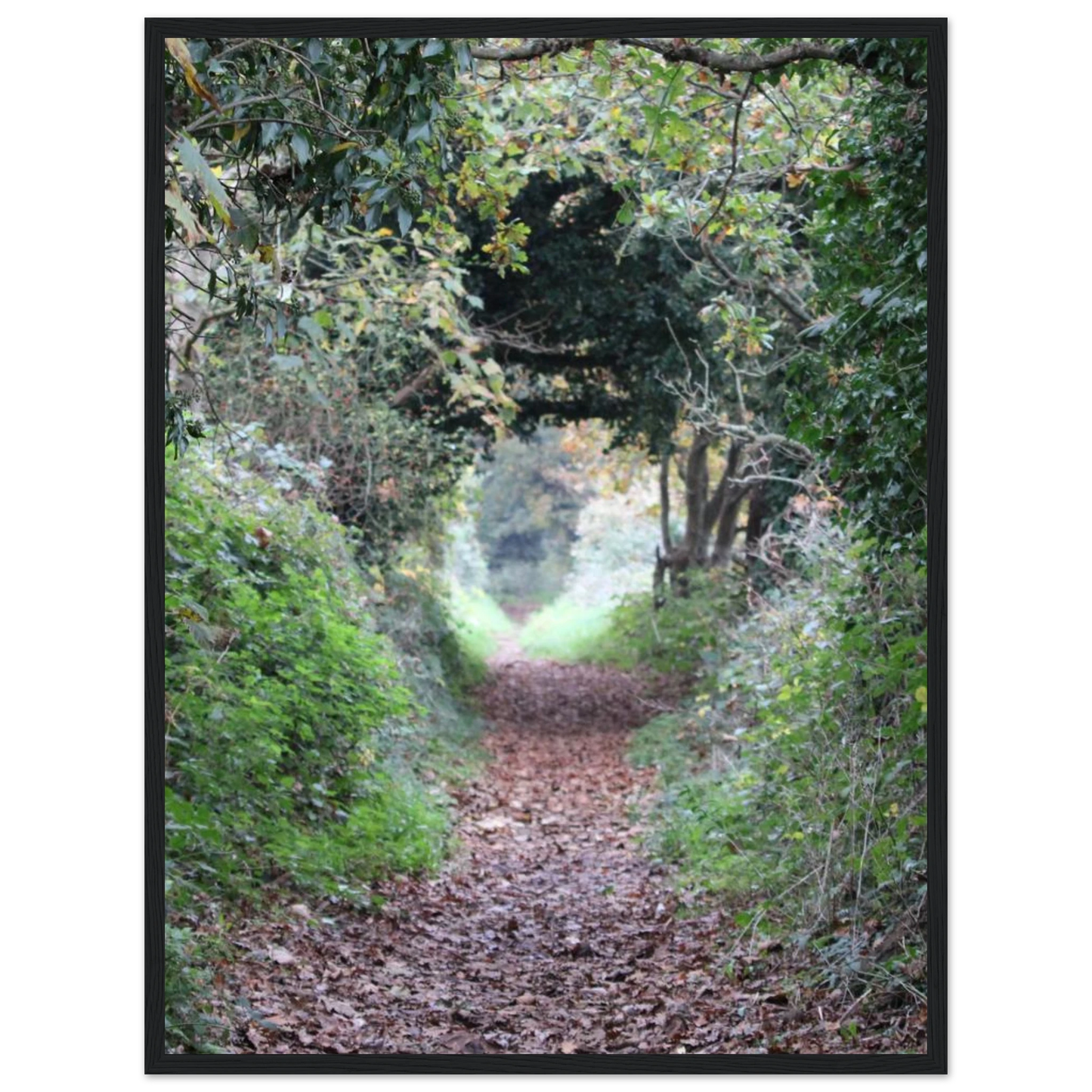 4ab84793-44ba-4dd5-99a5-602feb5cead5